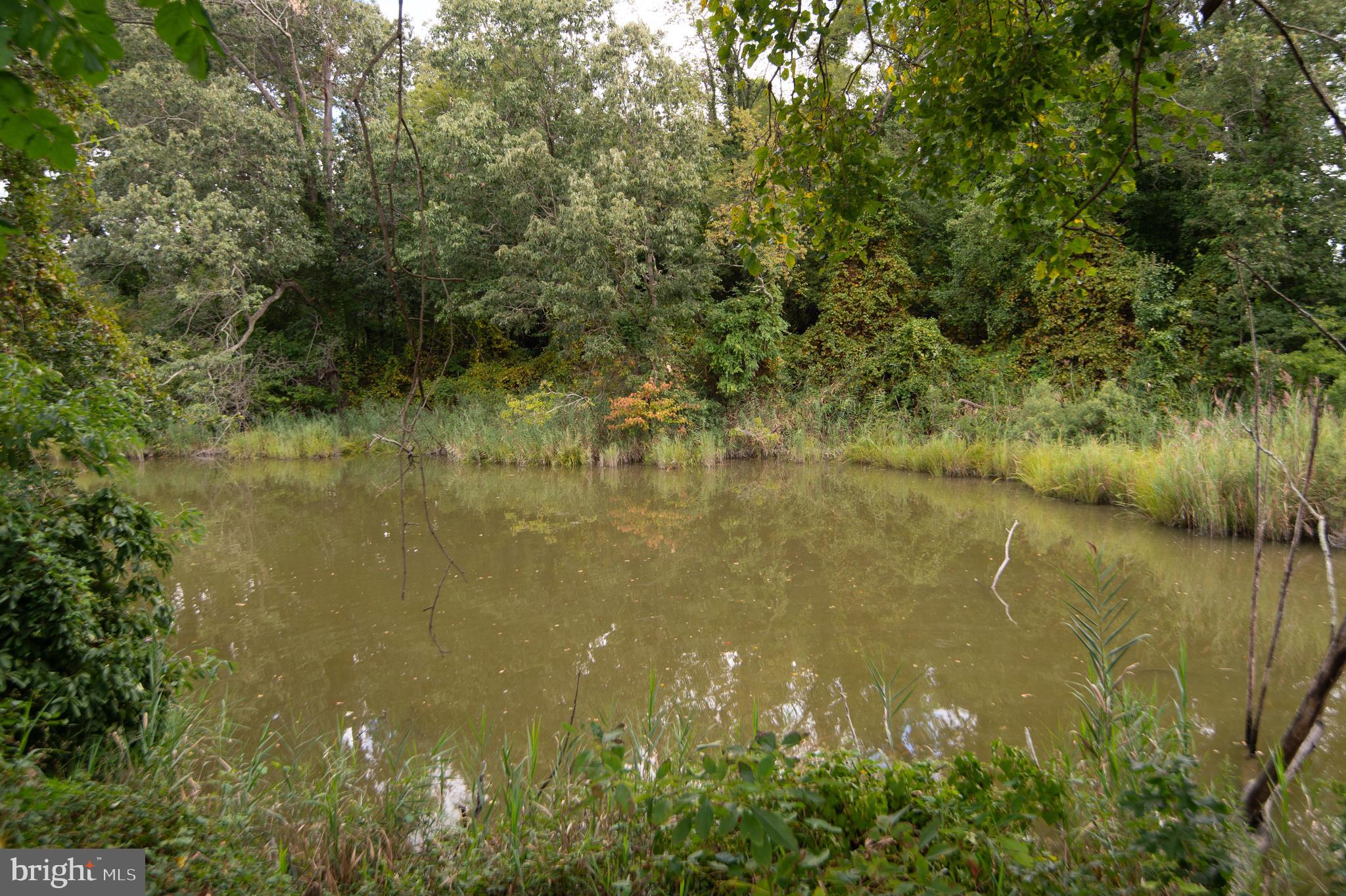 EASTON - Residential