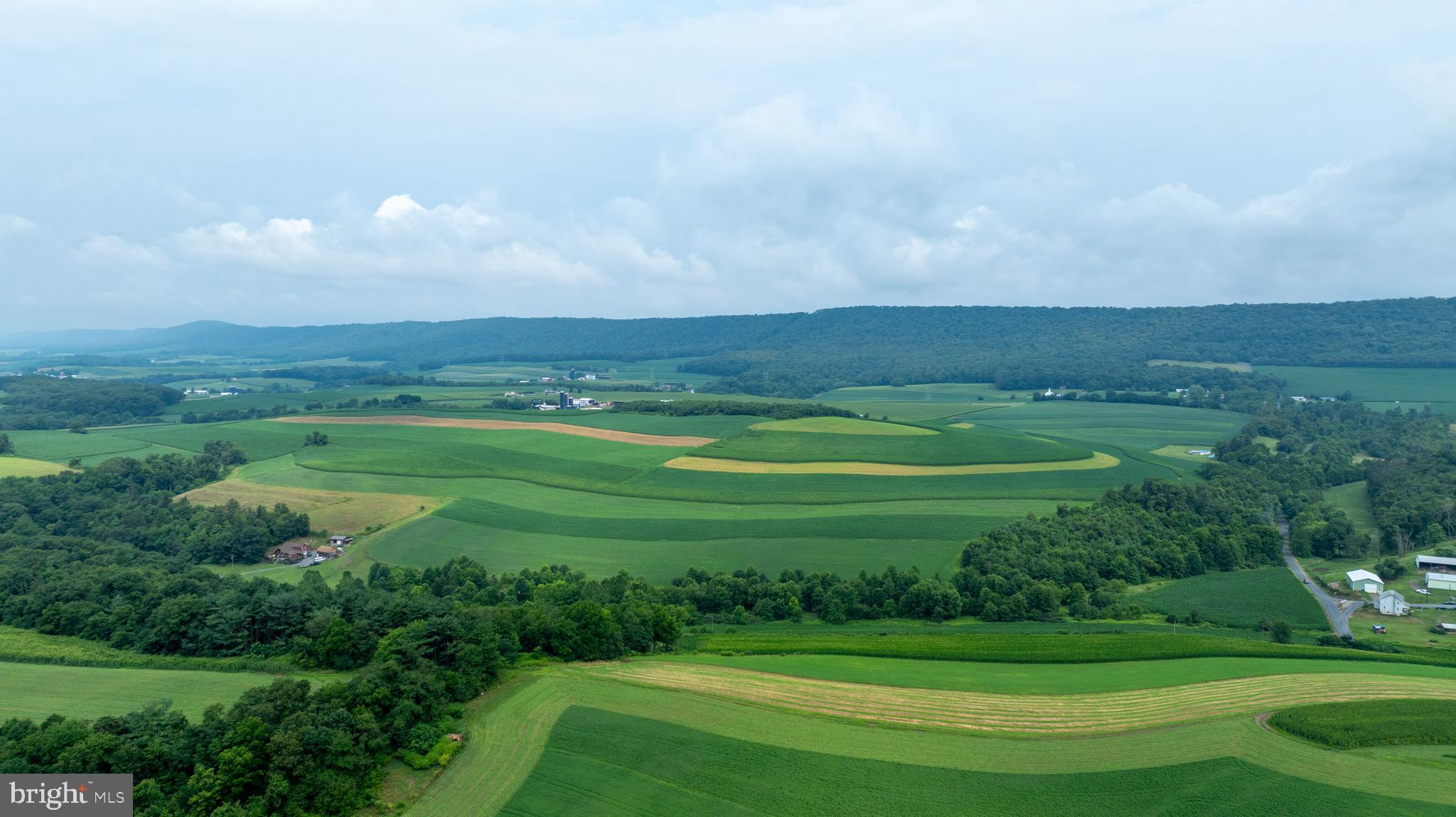 NONE AVAILABLE - Farm