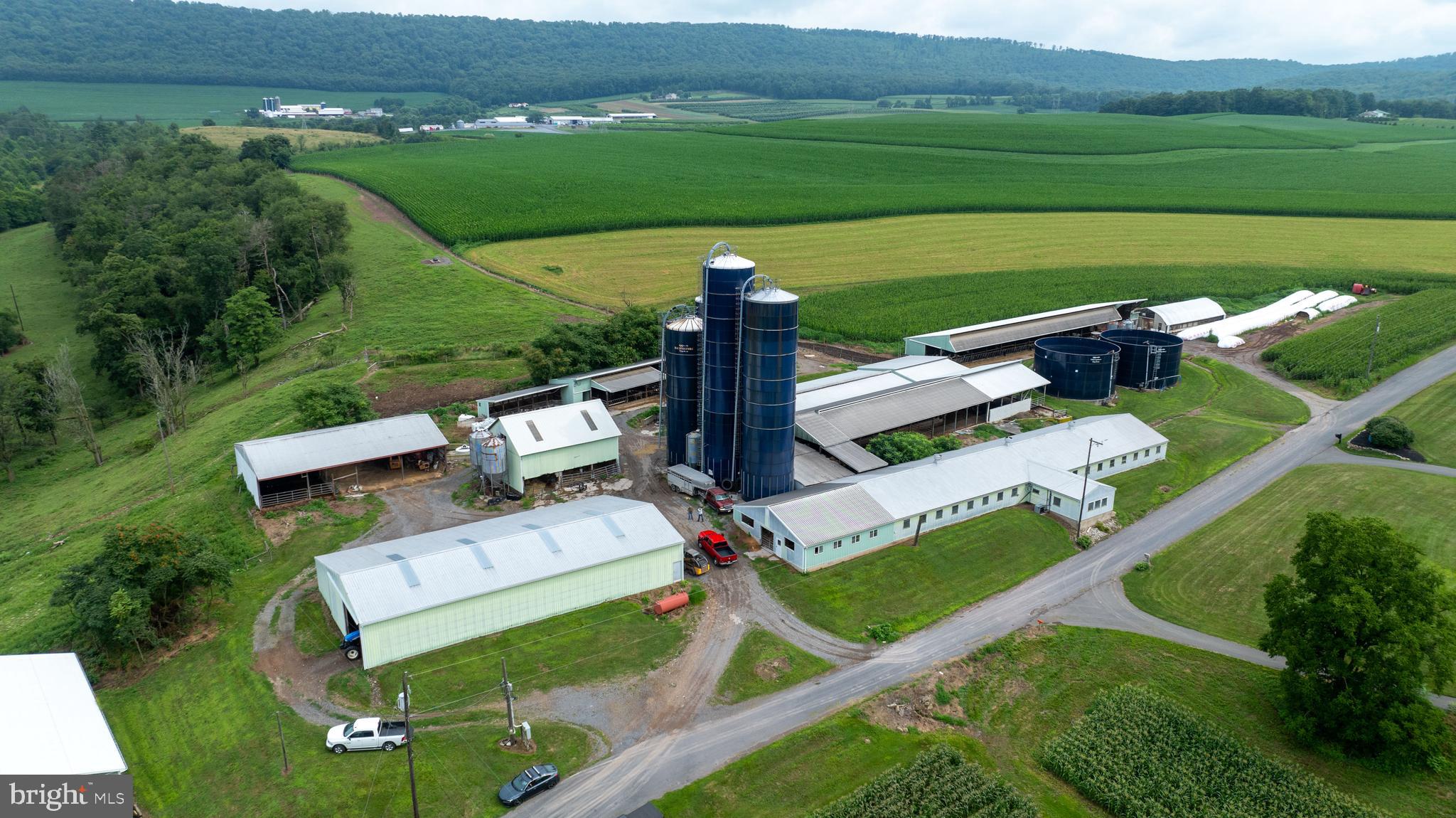 NONE AVAILABLE - Farm