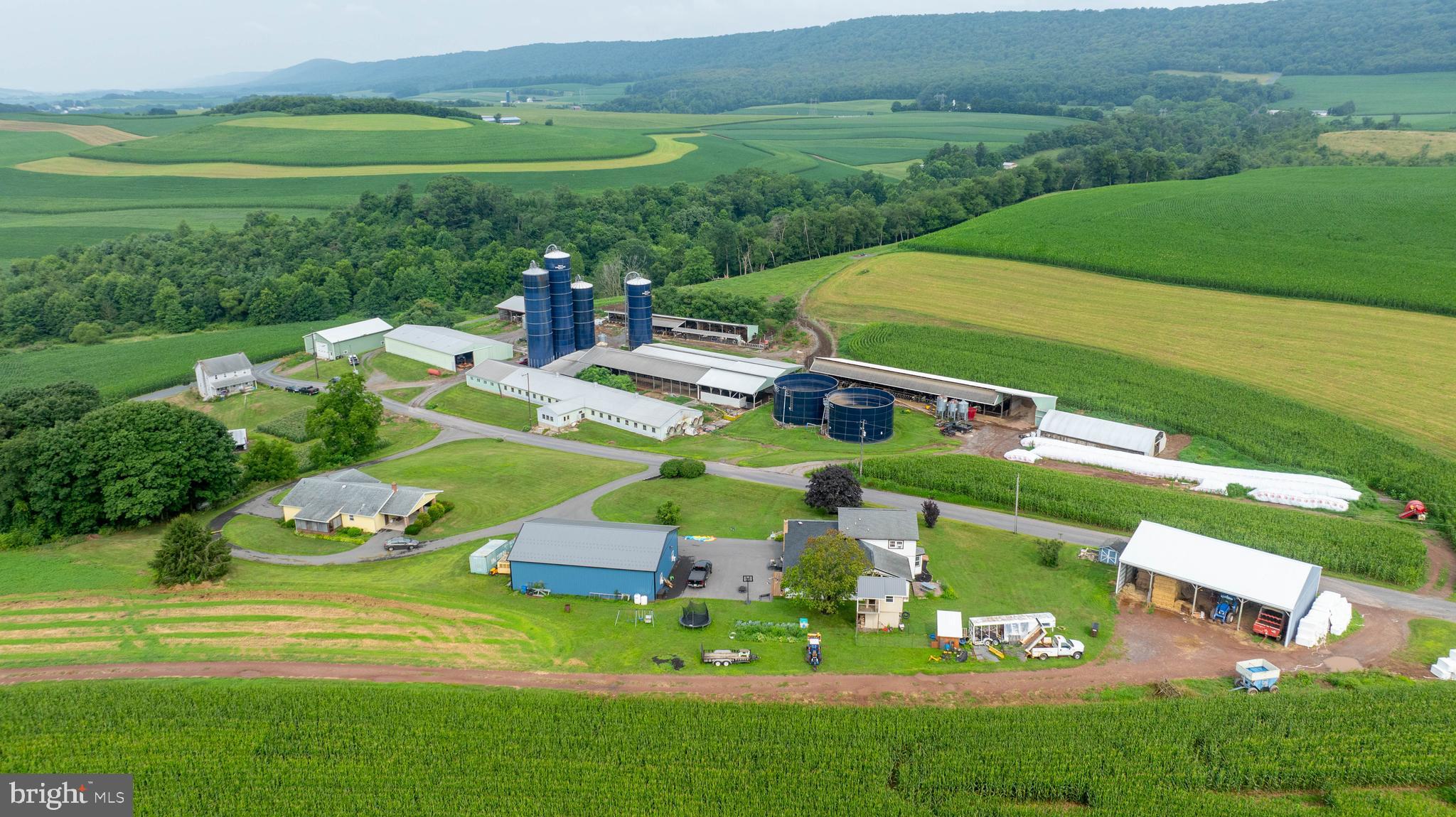 NONE AVAILABLE - Farm