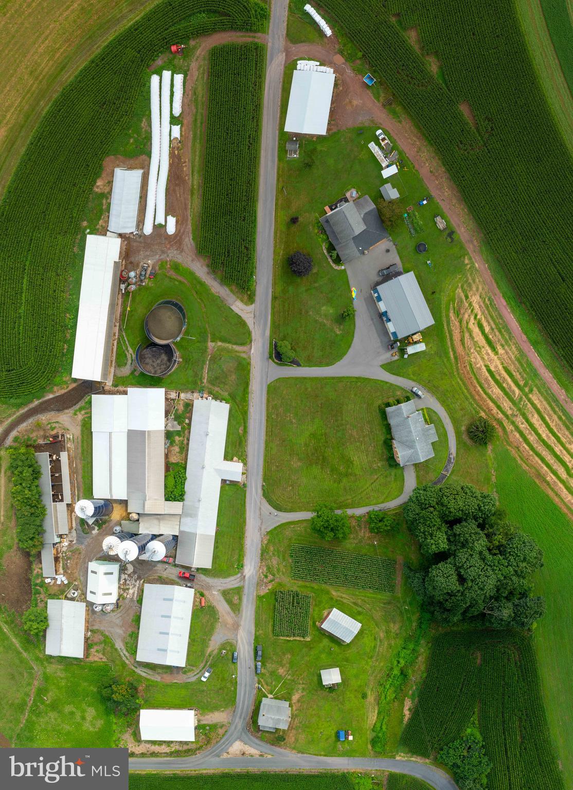 NONE AVAILABLE - Farm