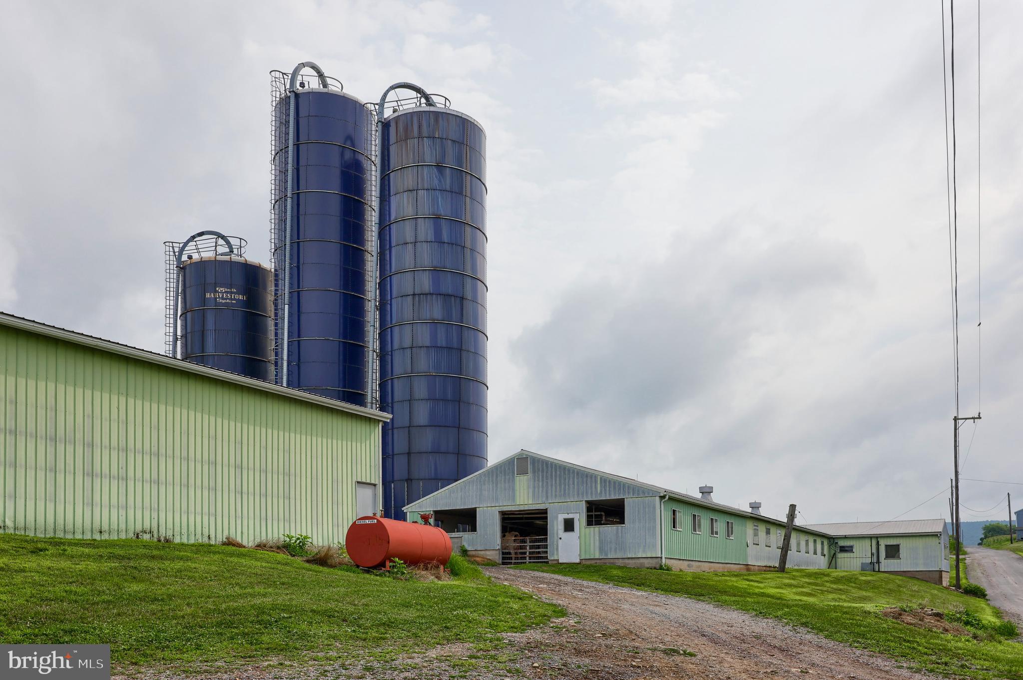 NONE AVAILABLE - Farm