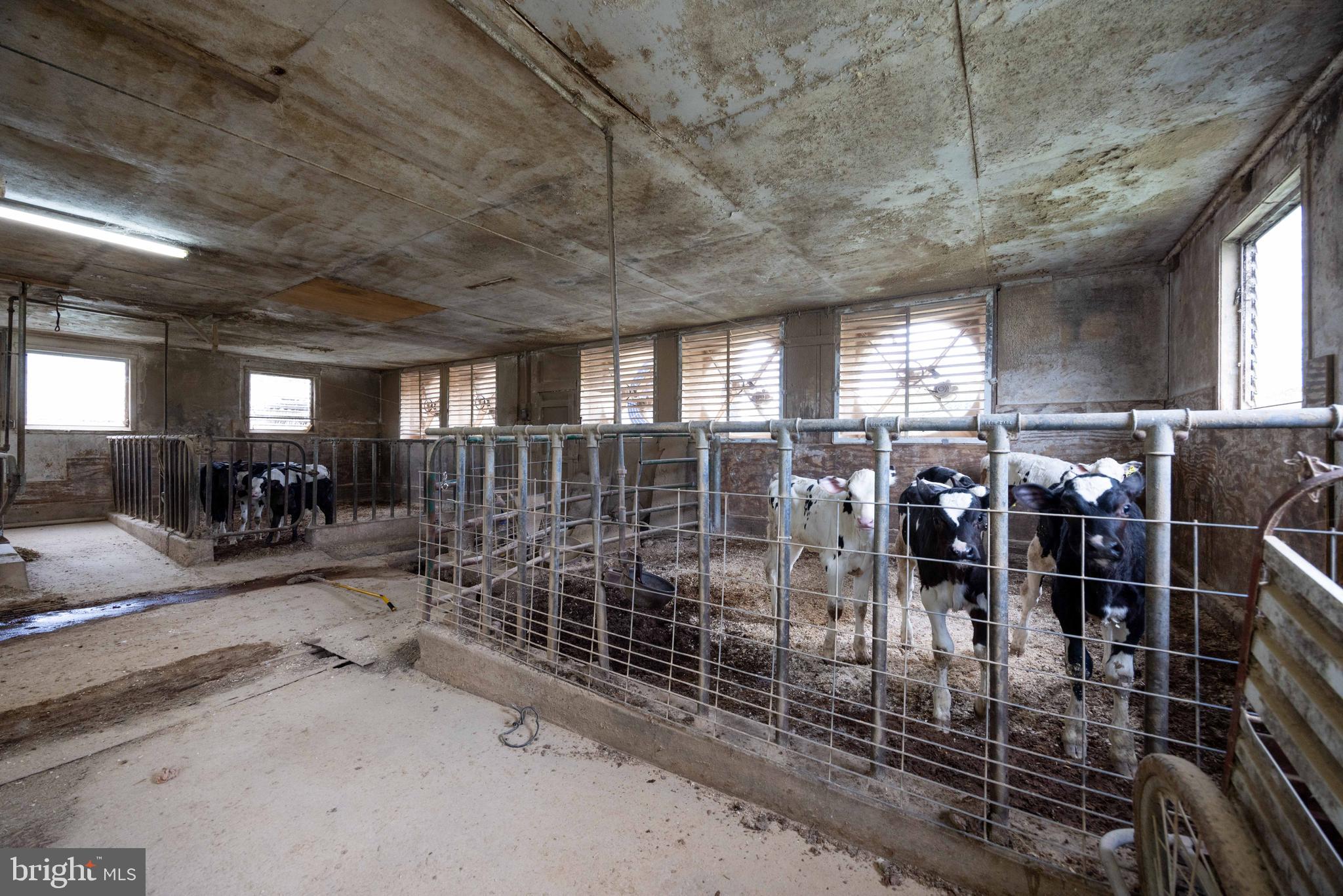 NONE AVAILABLE - Farm