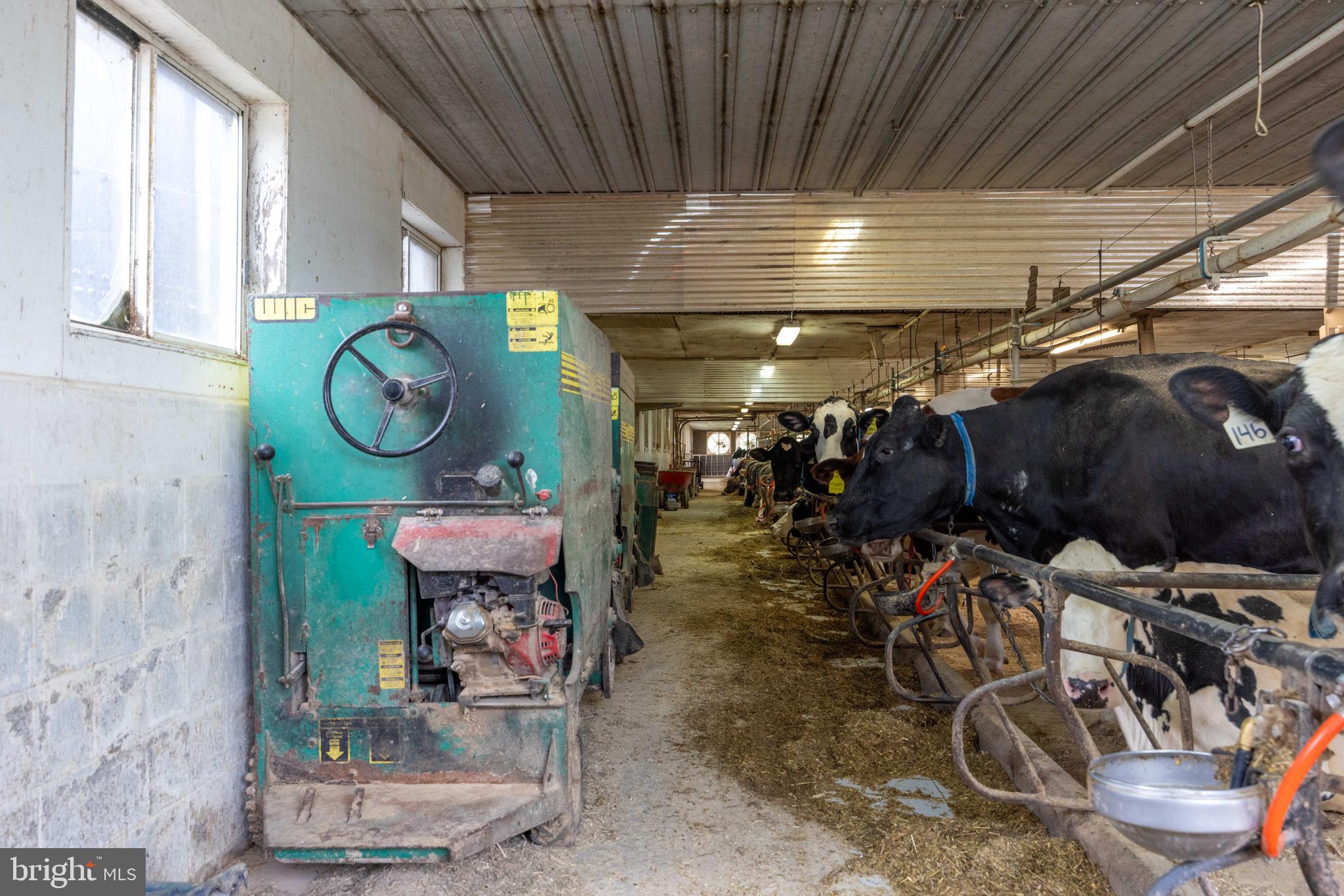 NONE AVAILABLE - Farm