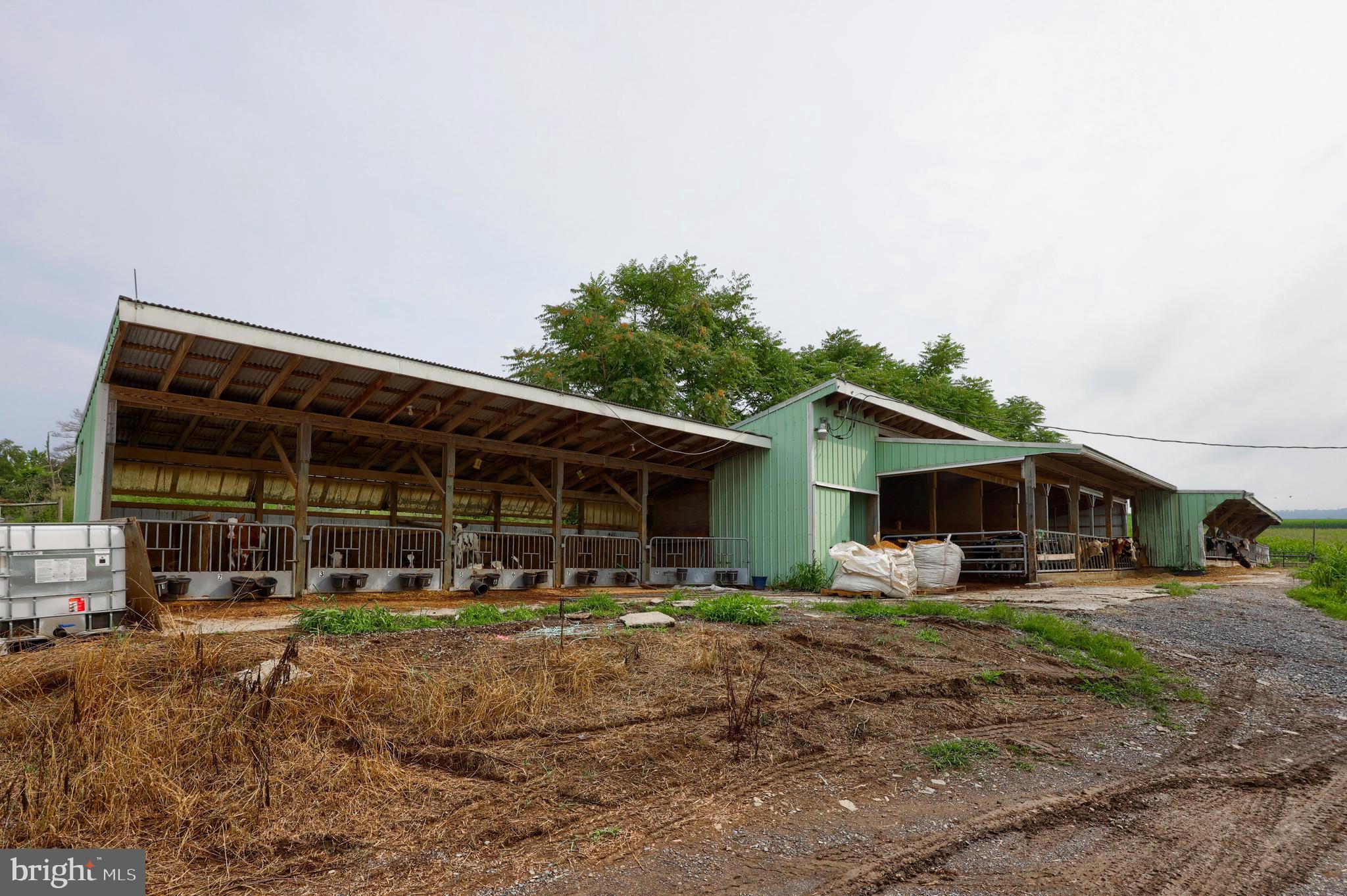 NONE AVAILABLE - Farm