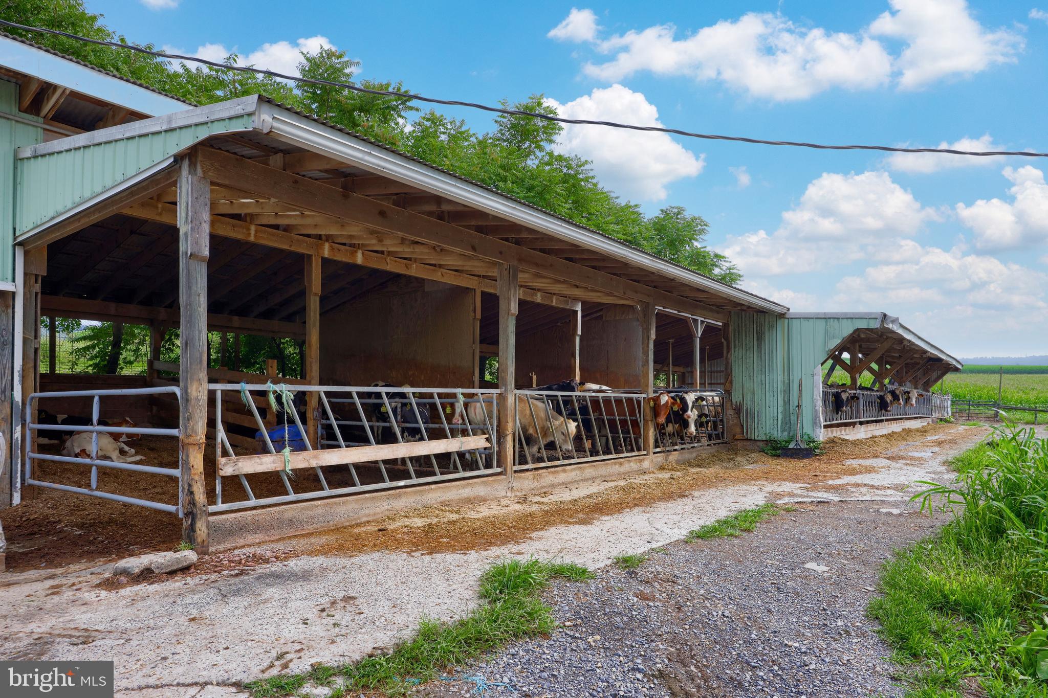 NONE AVAILABLE - Farm