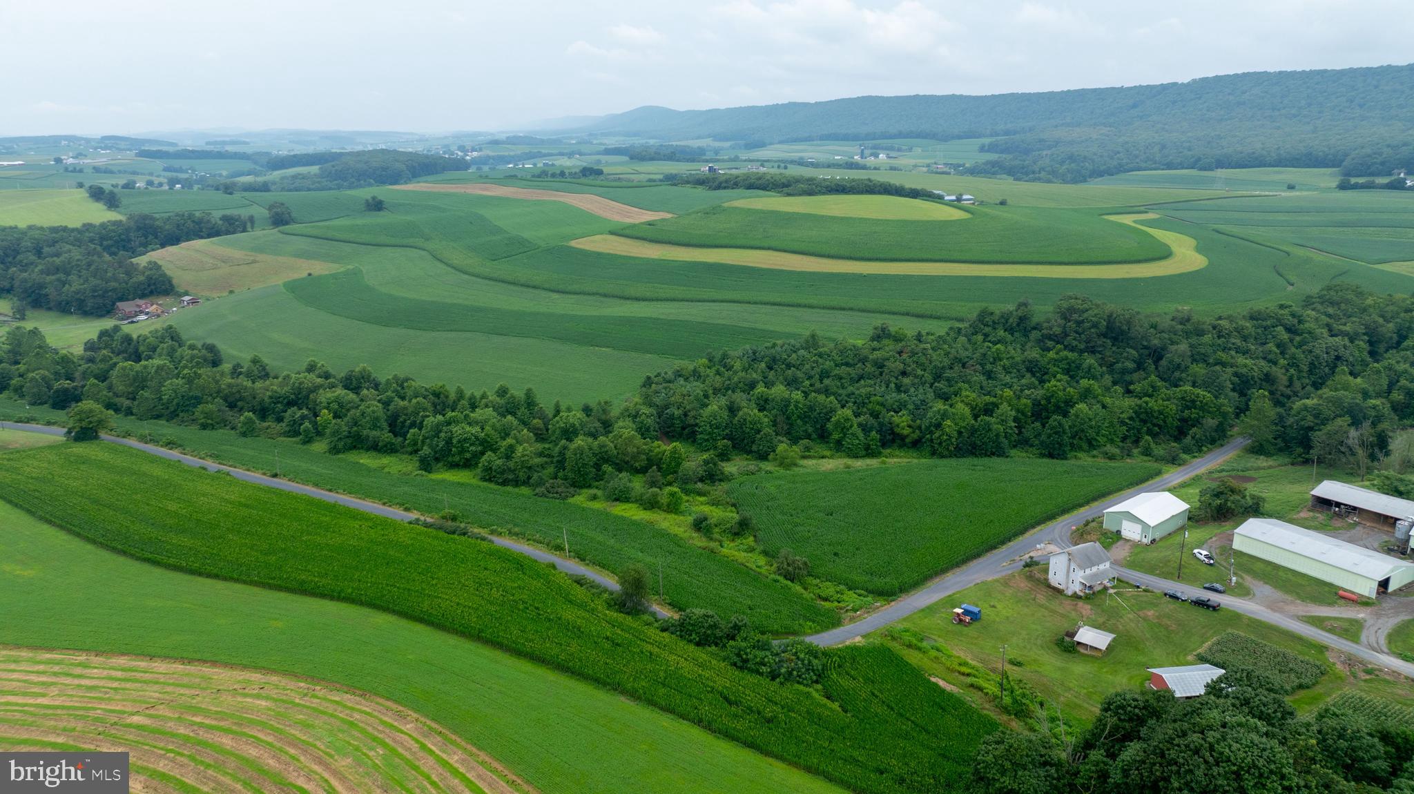 NONE AVAILABLE - Farm