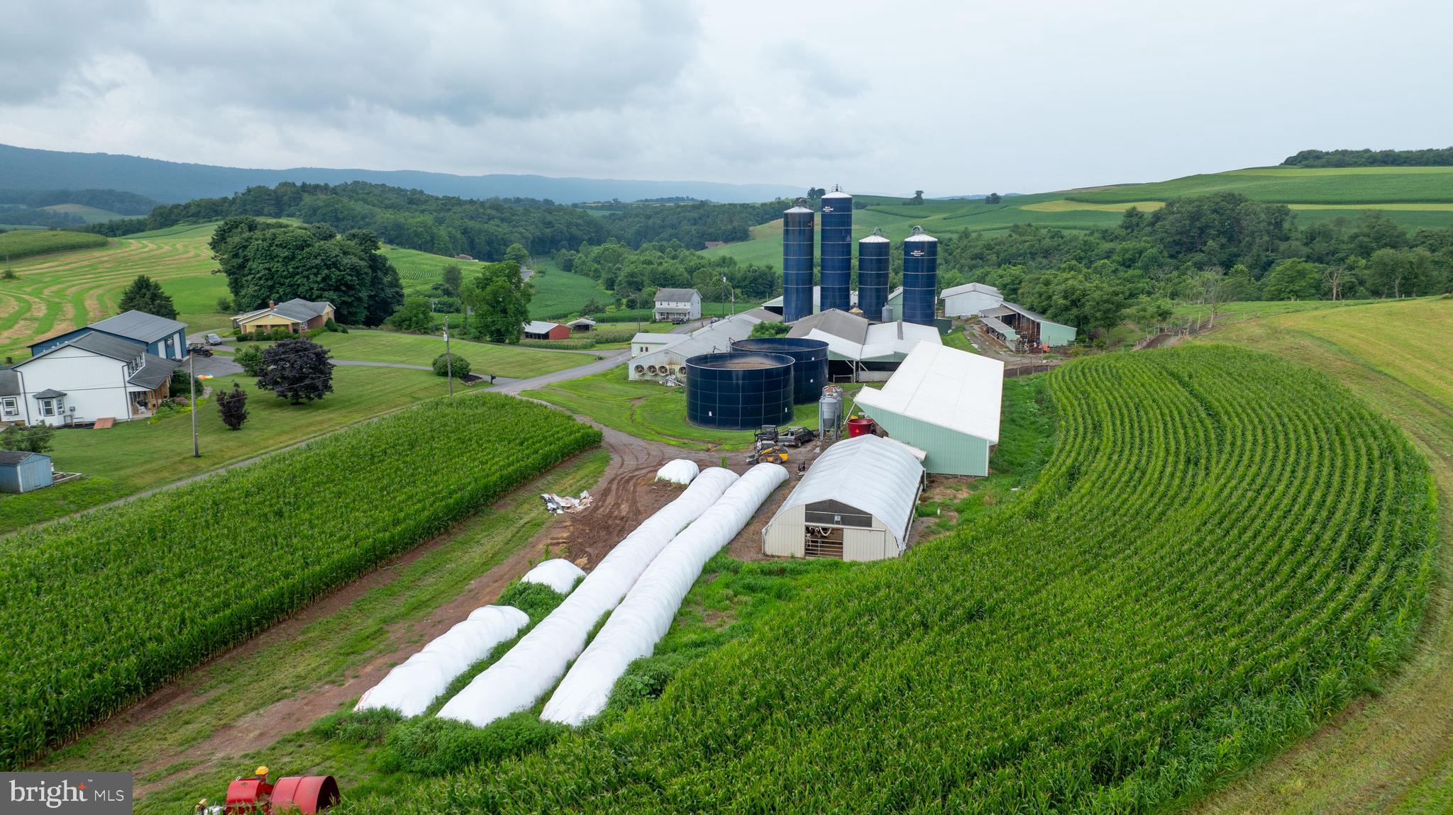 NONE AVAILABLE - Farm