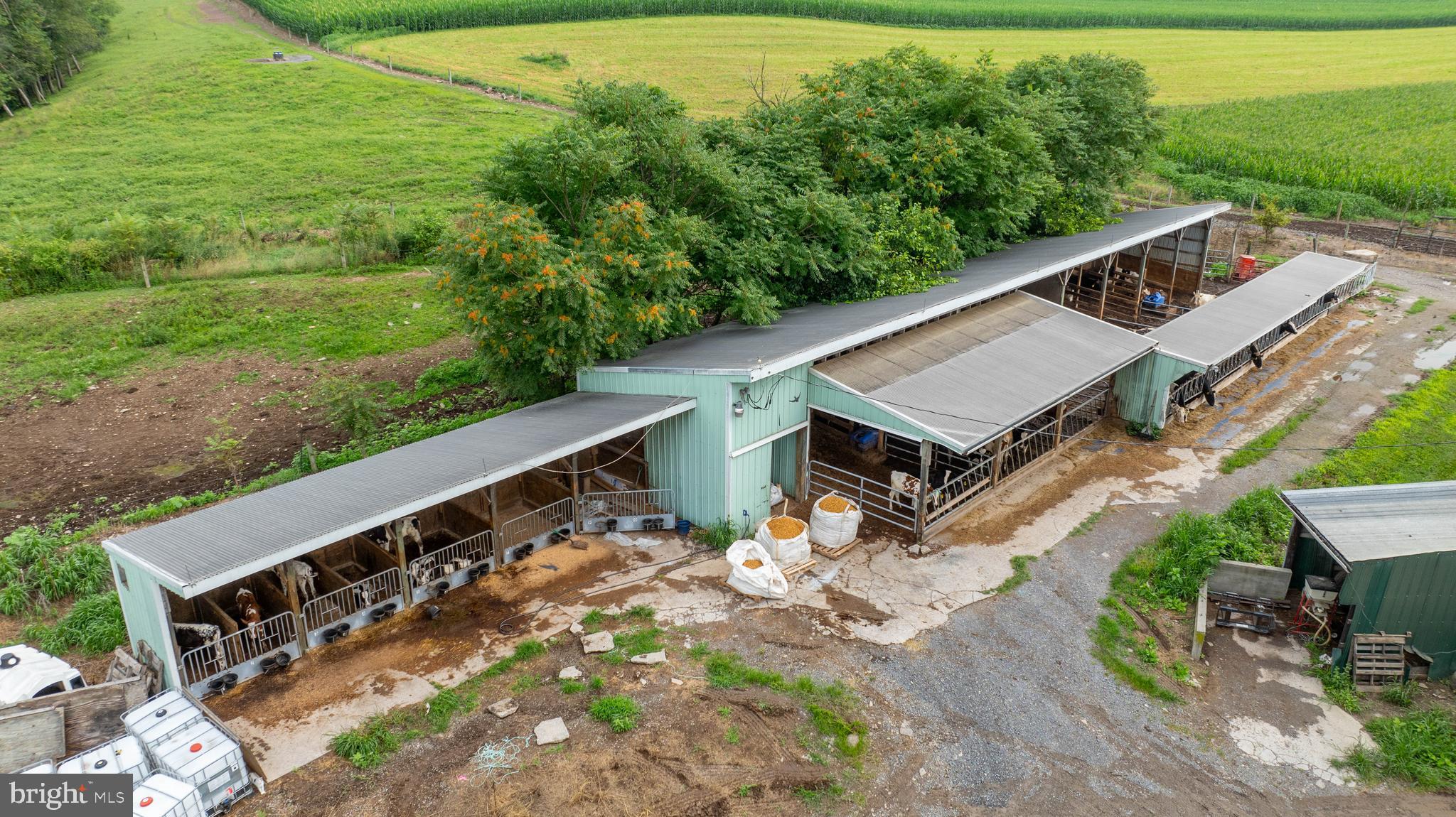 NONE AVAILABLE - Farm