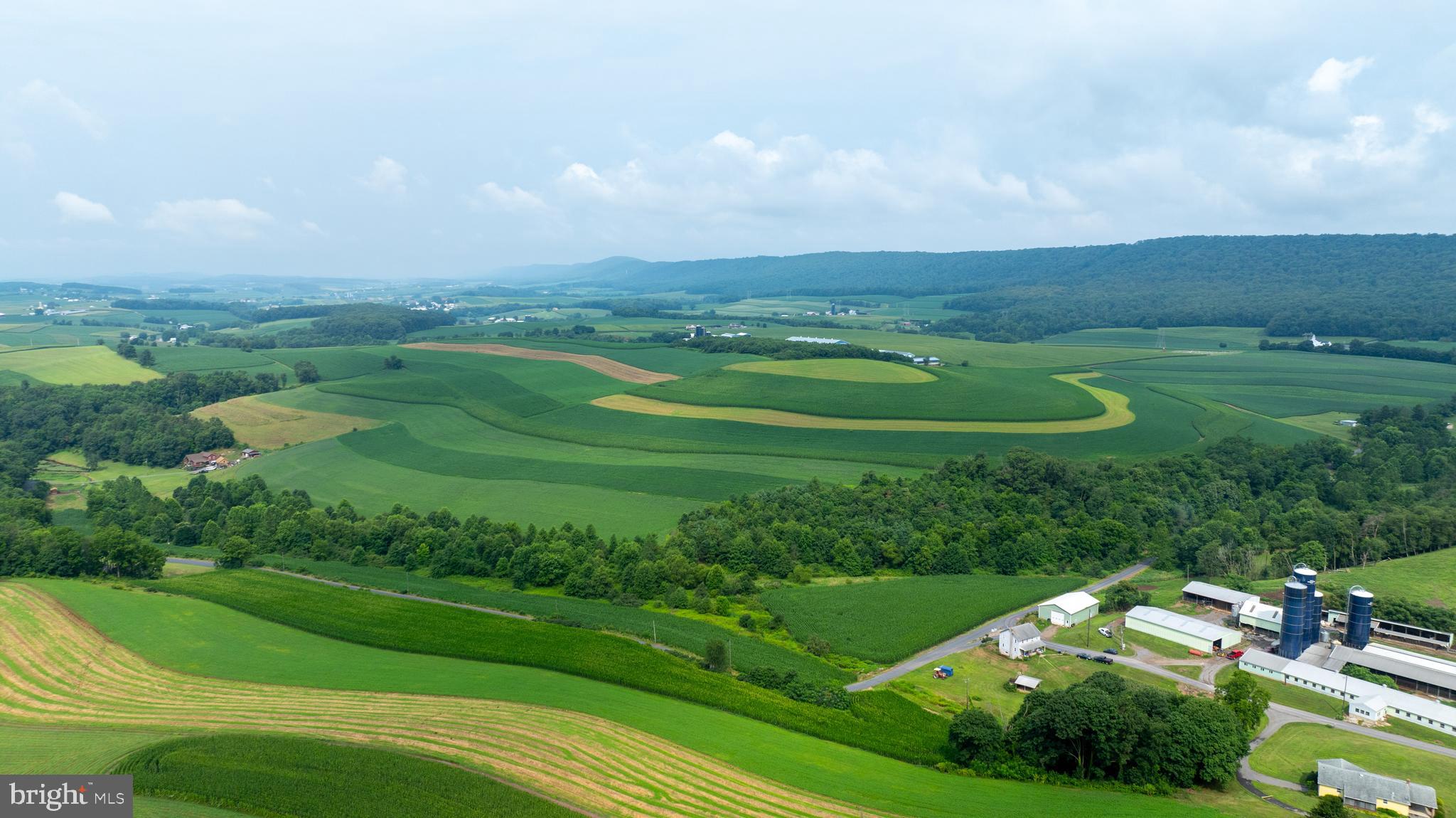 NONE AVAILABLE - Farm