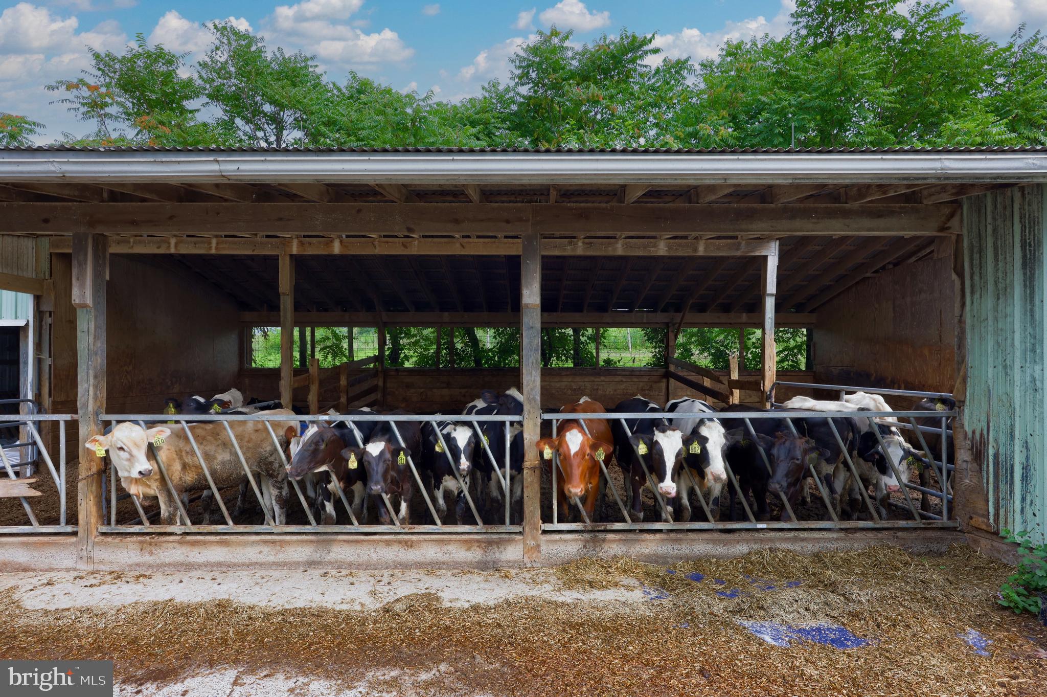 NONE AVAILABLE - Farm