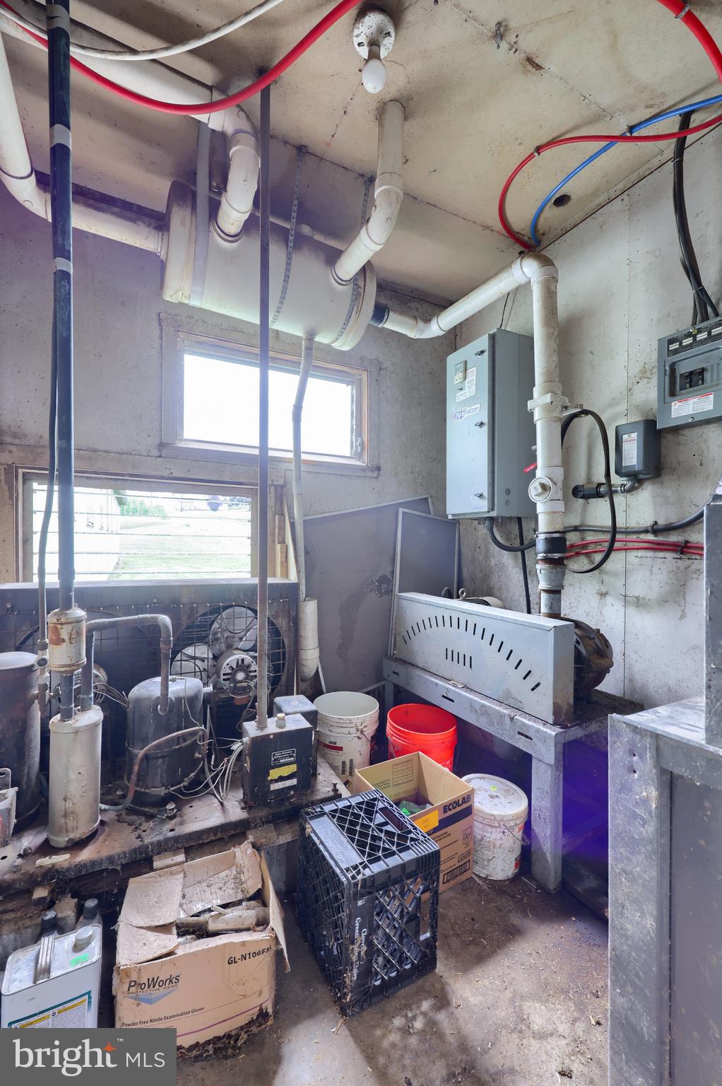 NONE AVAILABLE - Farm