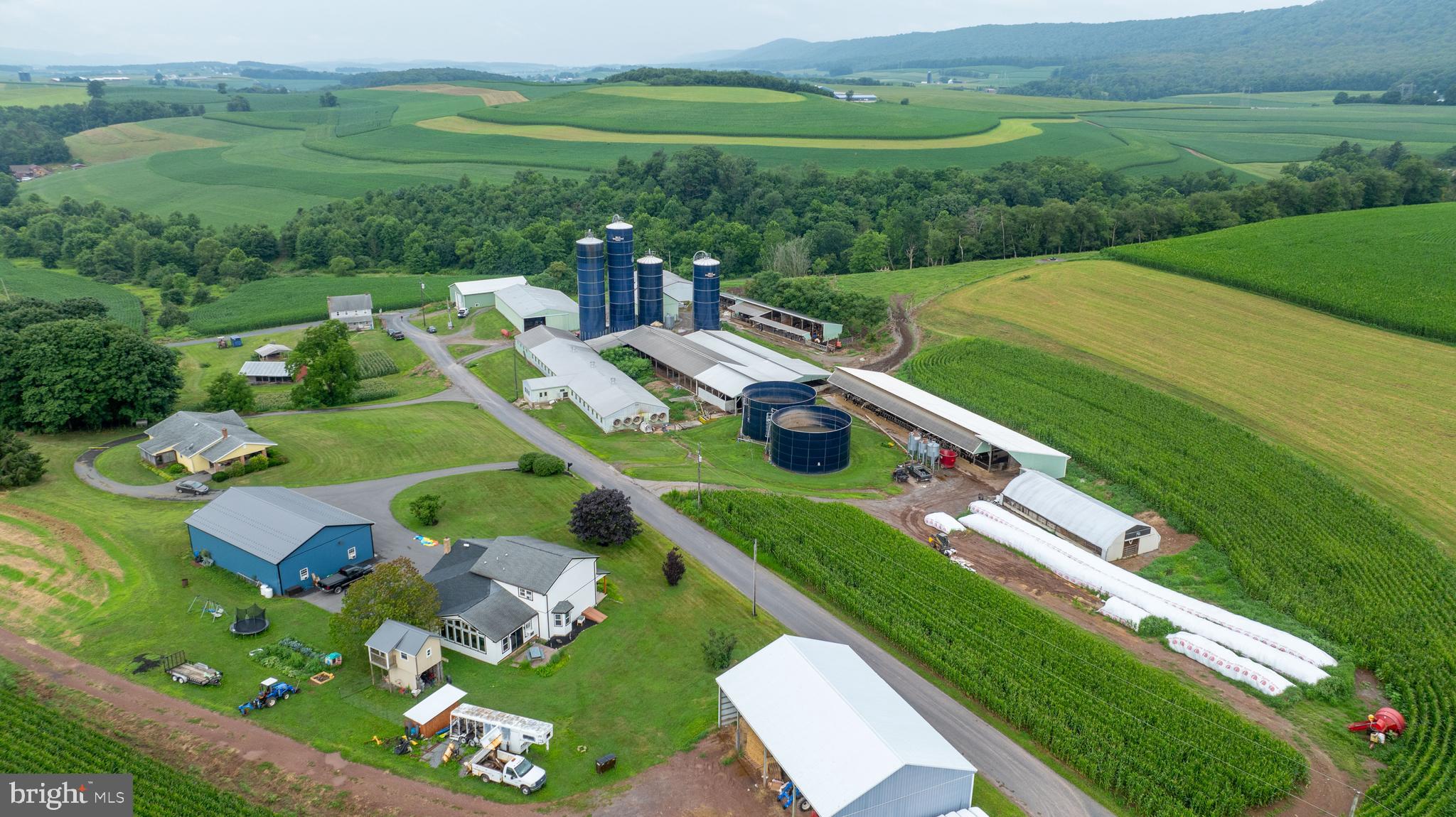 NONE AVAILABLE - Farm