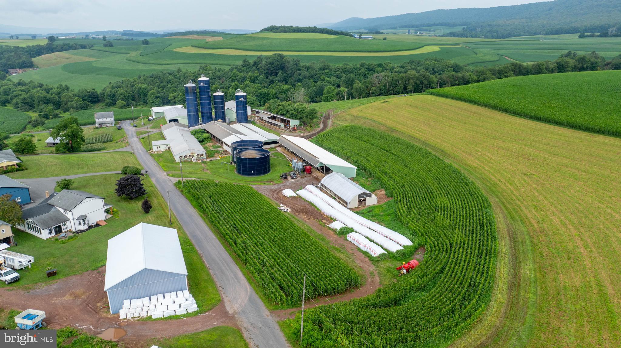 NONE AVAILABLE - Farm