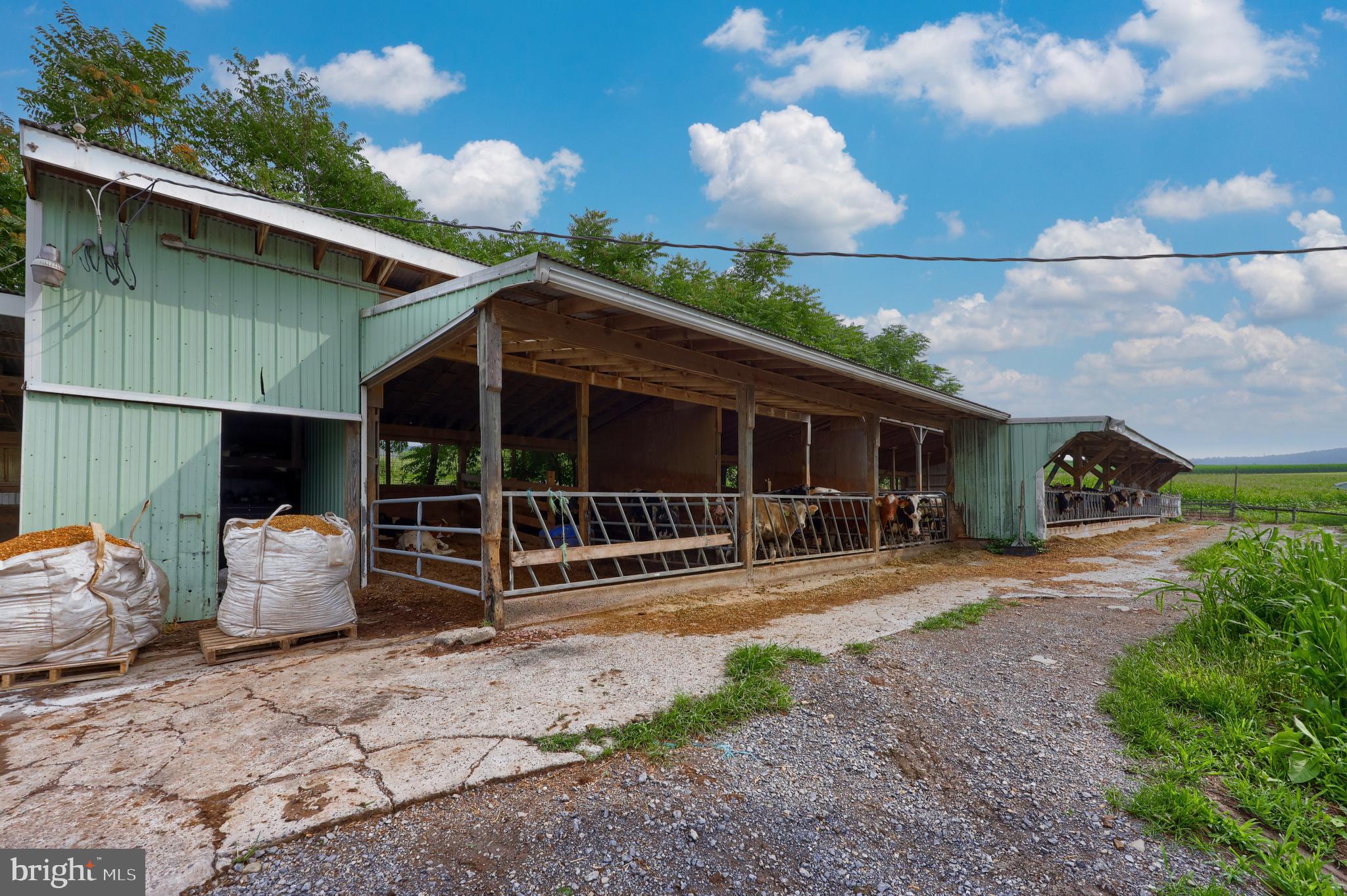 NONE AVAILABLE - Farm