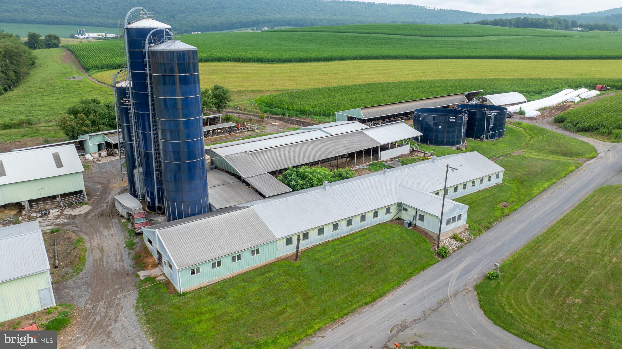 NONE AVAILABLE - Farm