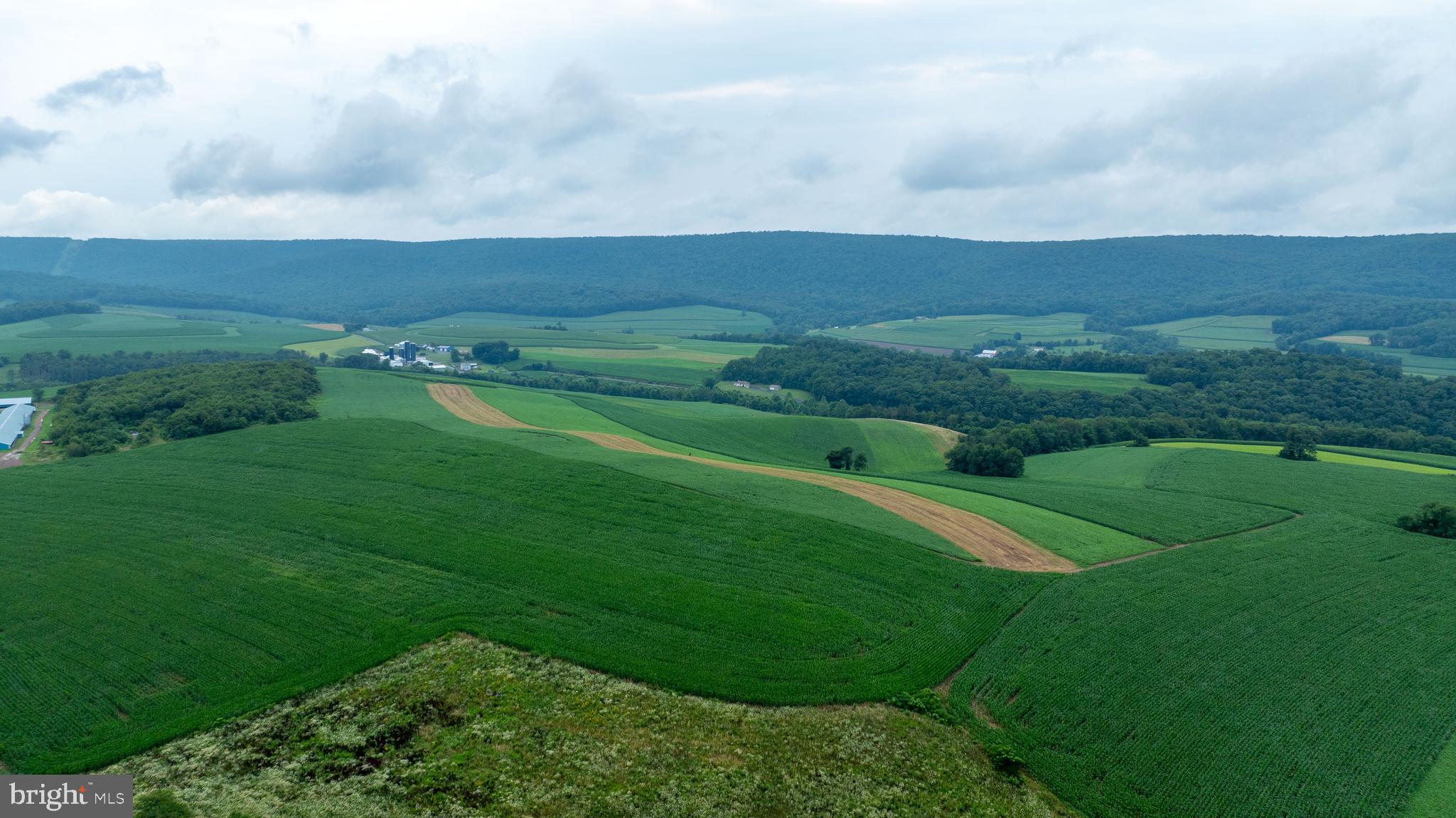 NONE AVAILABLE - Farm