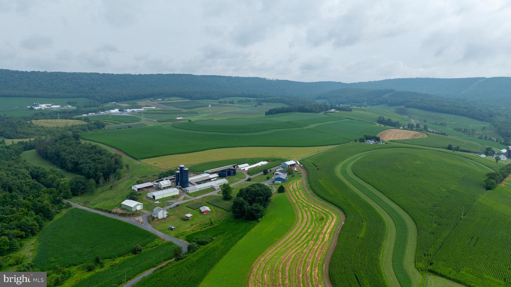 NONE AVAILABLE - Farm