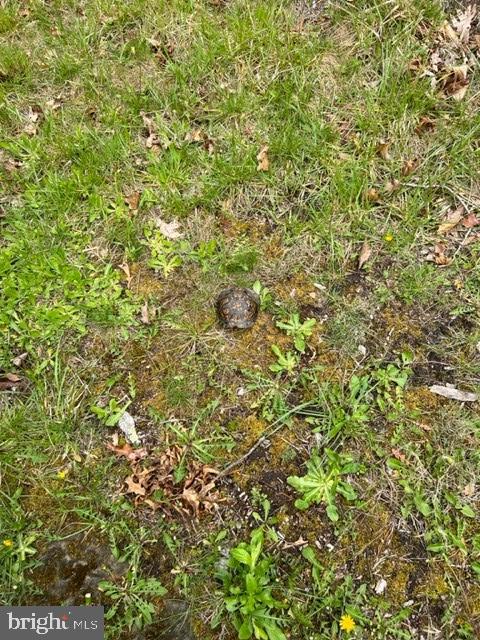 WARDEN LAKE - Residential