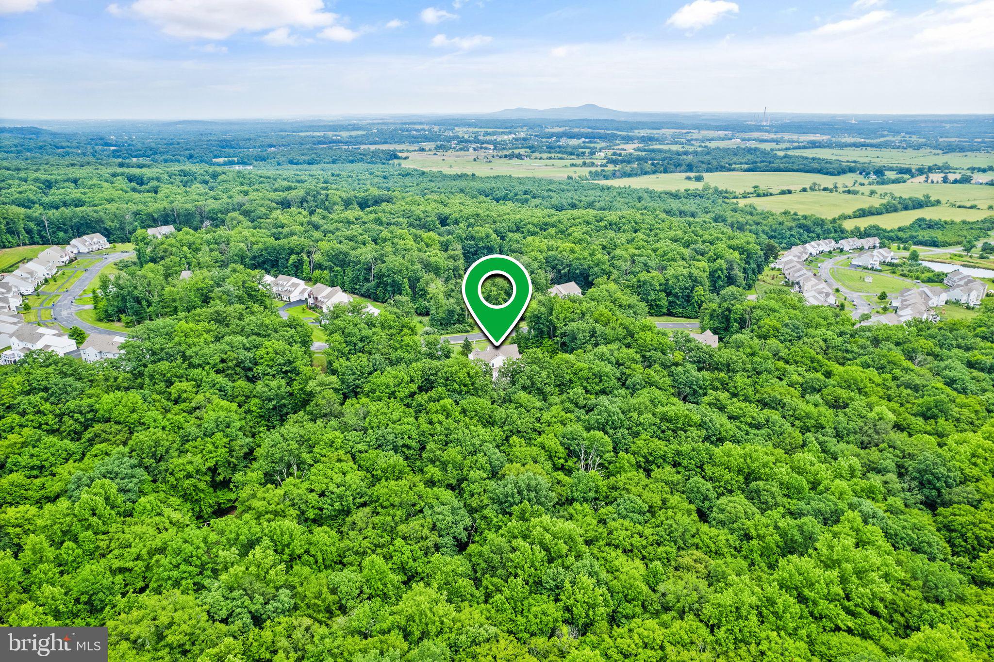 HISTORIC SELMA ESTATES - Residential