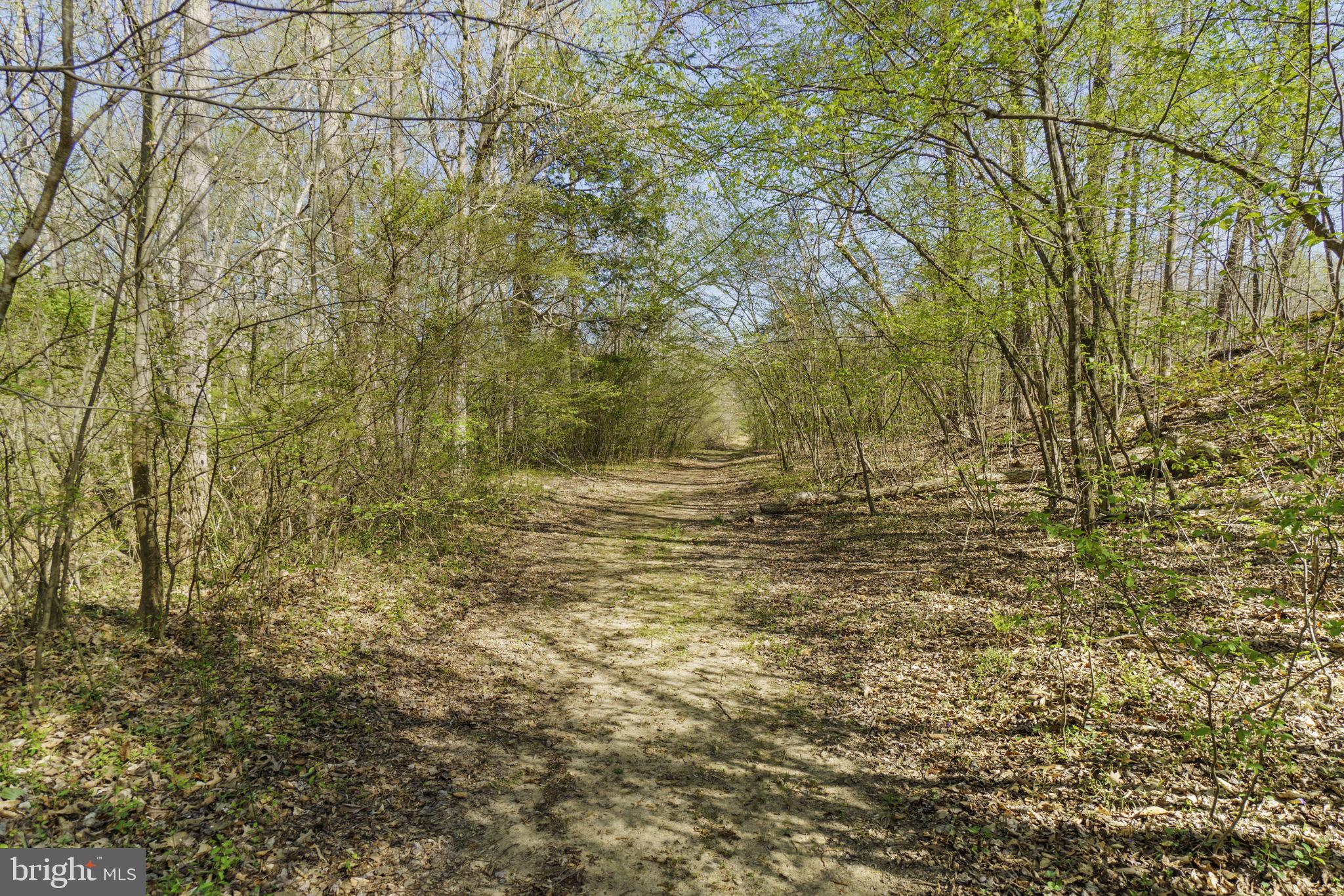 MASTERS MILL - Residential