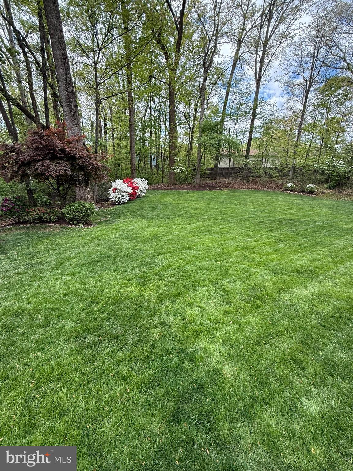 HOMEWOOD - Residential