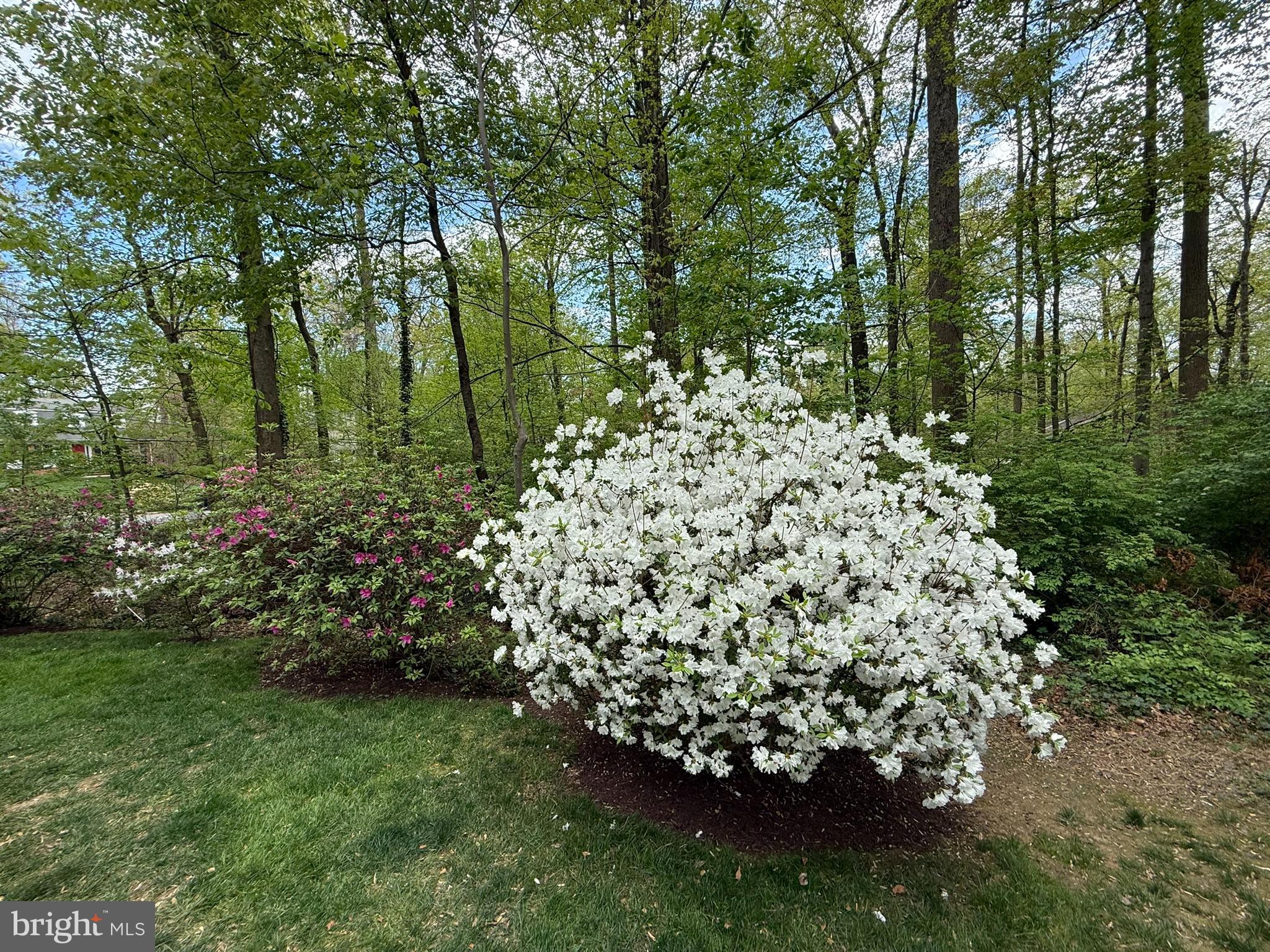 HOMEWOOD - Residential