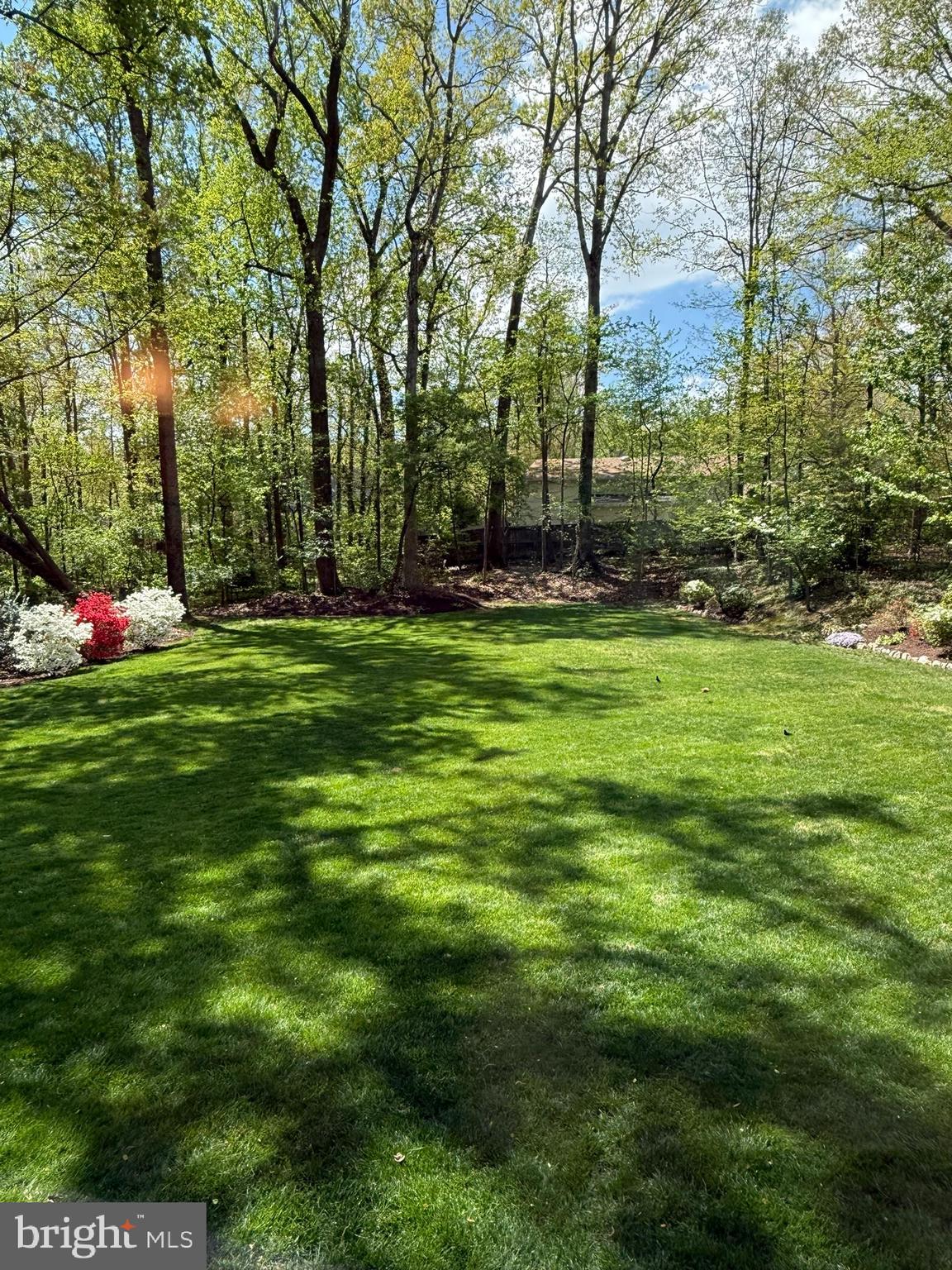 HOMEWOOD - Residential