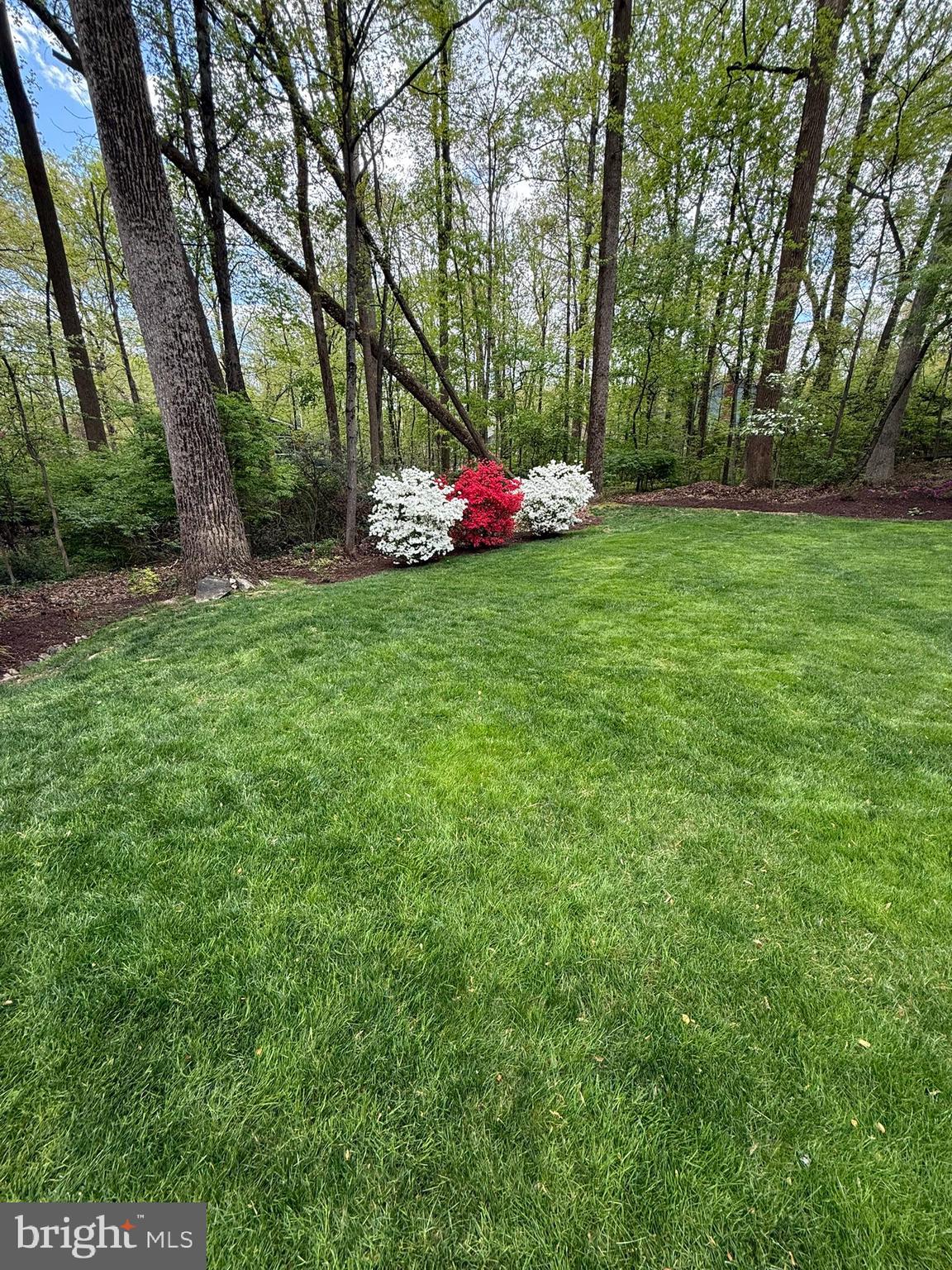 HOMEWOOD - Residential