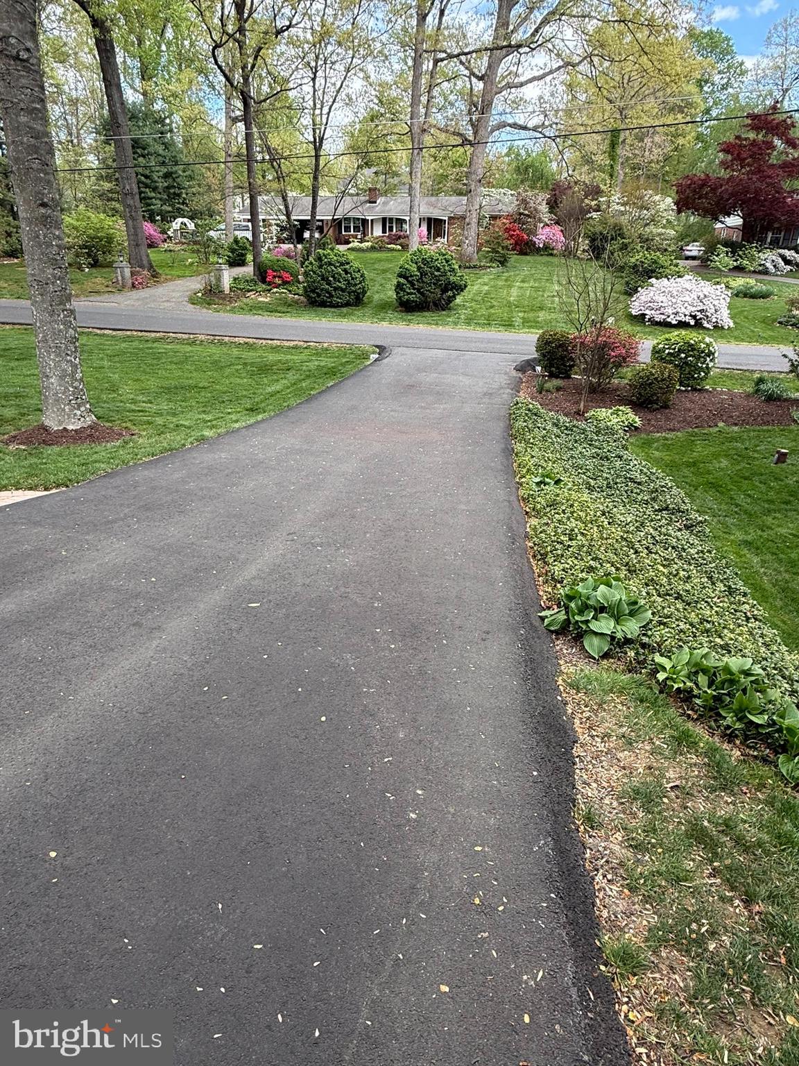 HOMEWOOD - Residential