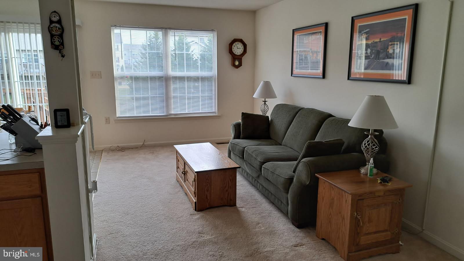 MOUNTAIN SHADOW ESTATES - Residential