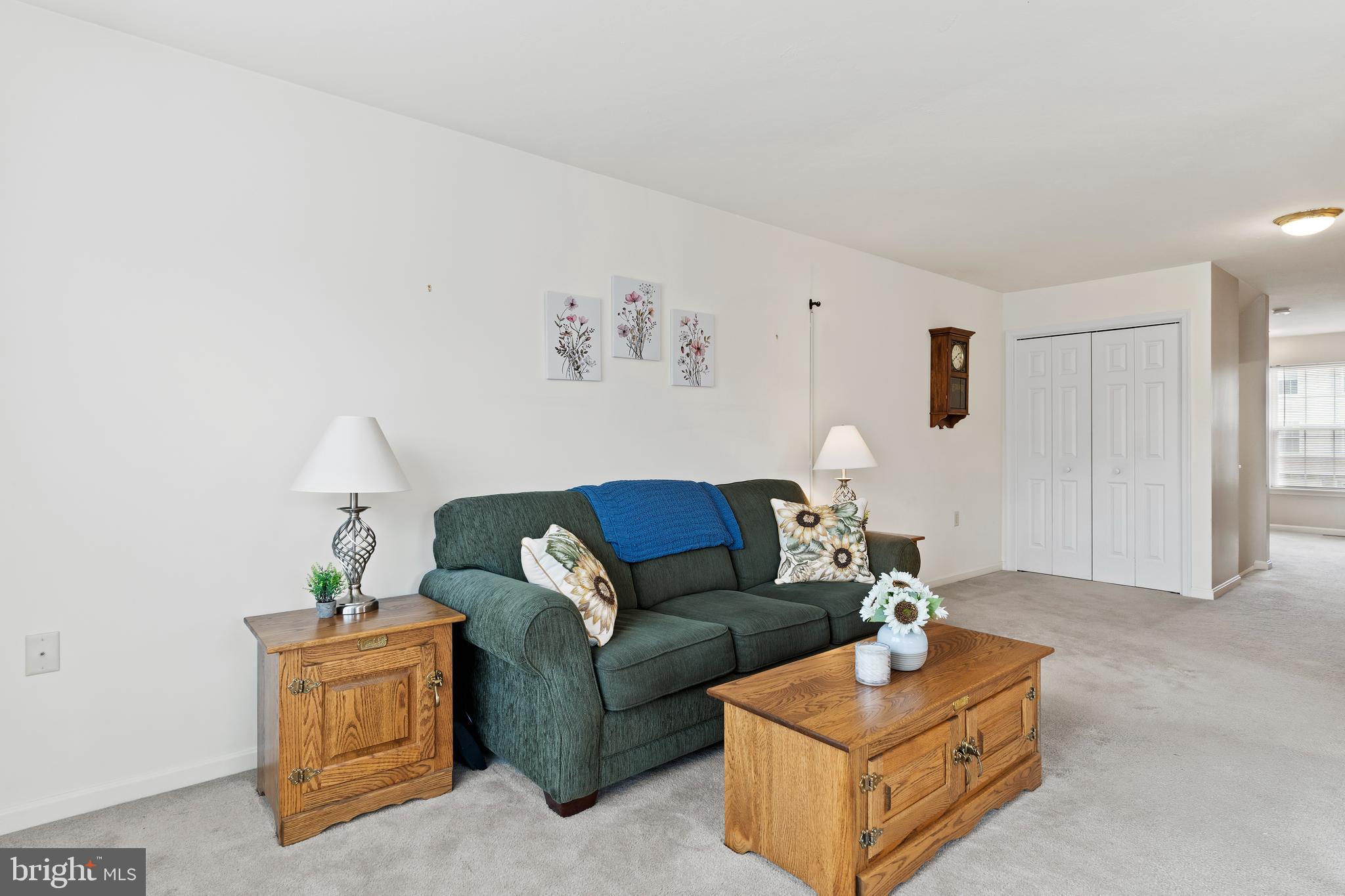 MOUNTAIN SHADOW ESTATES - Residential