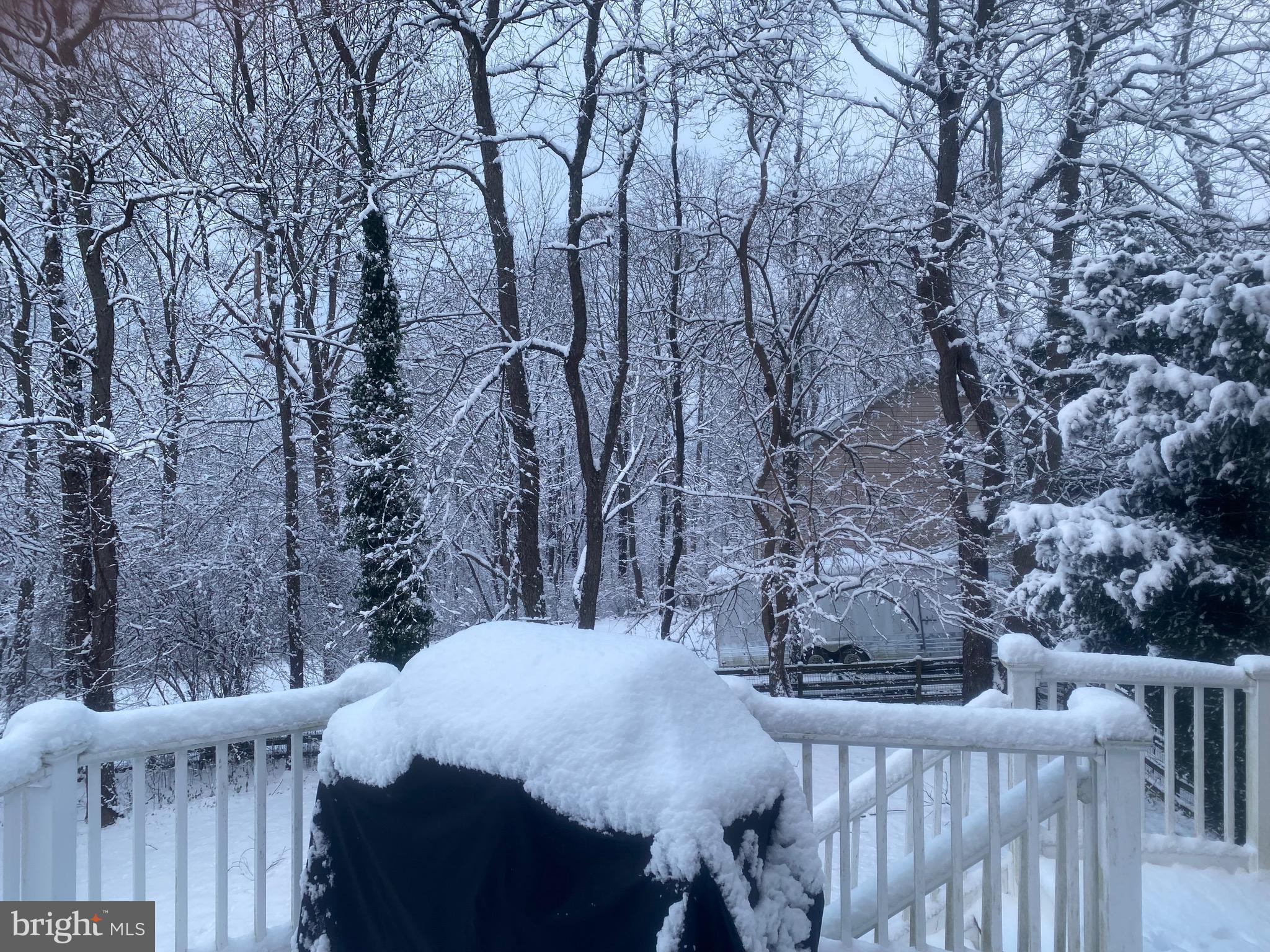 CARROLL POINTE - Residential