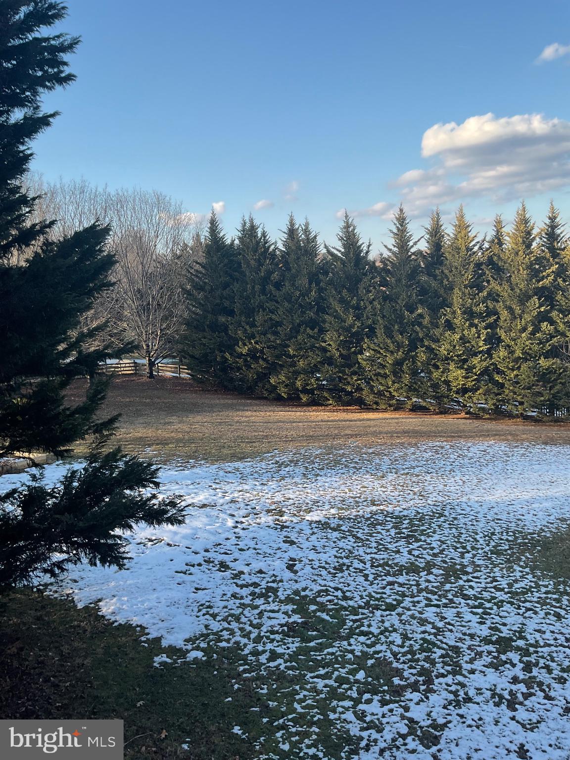 CARROLL POINTE - Residential