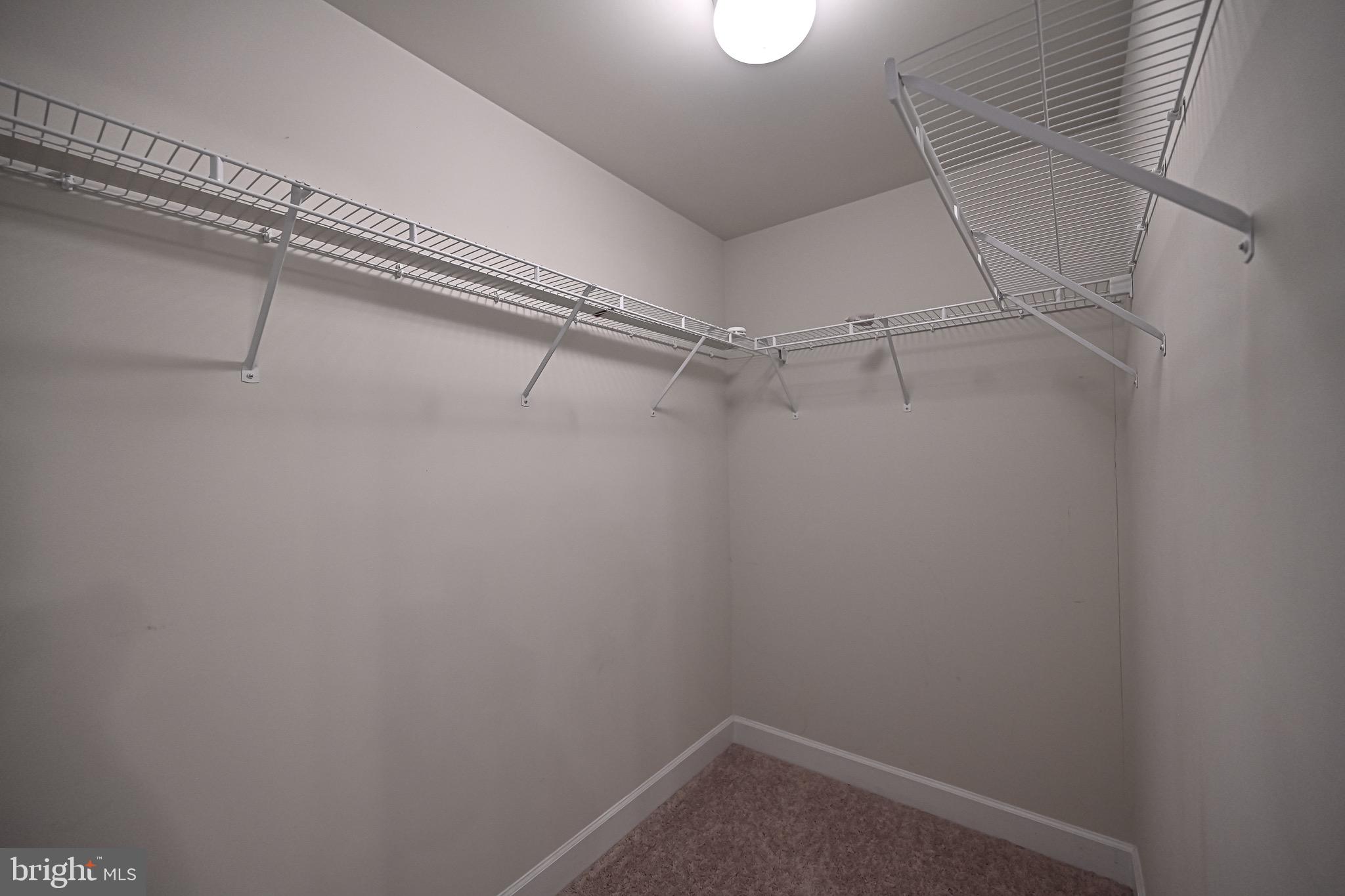 SPRING HILL - Residential Lease