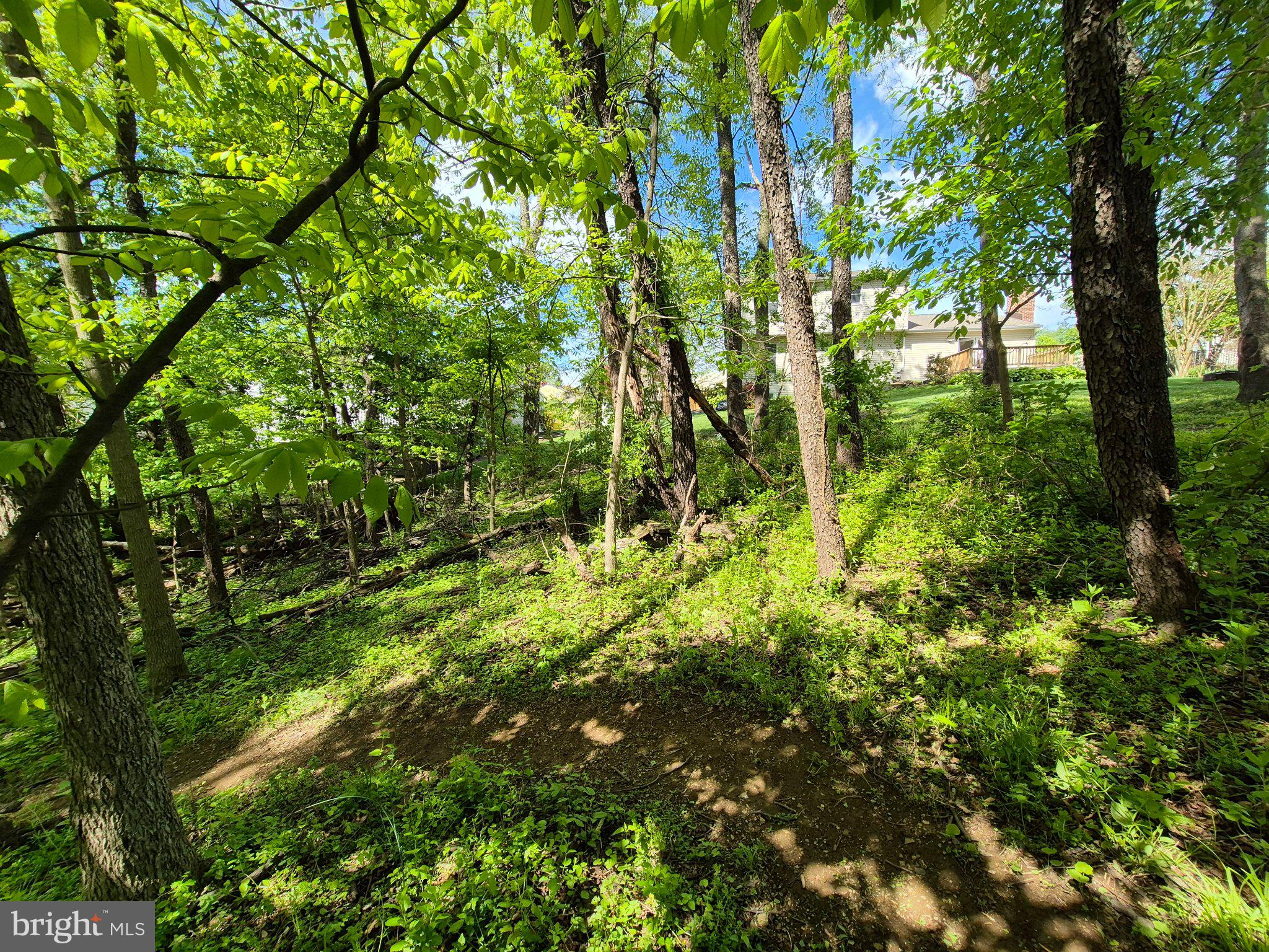 BUNKER HILLS - Residential