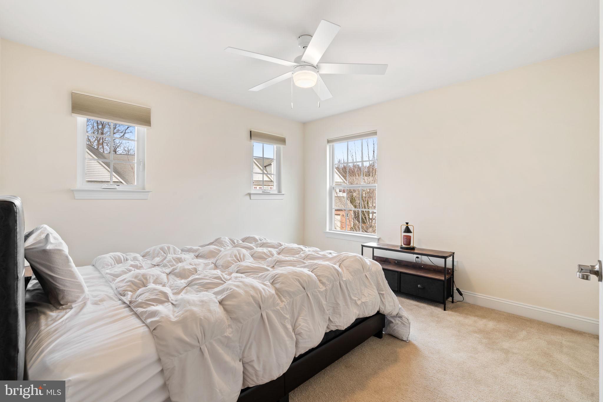 BELROSE - Residential