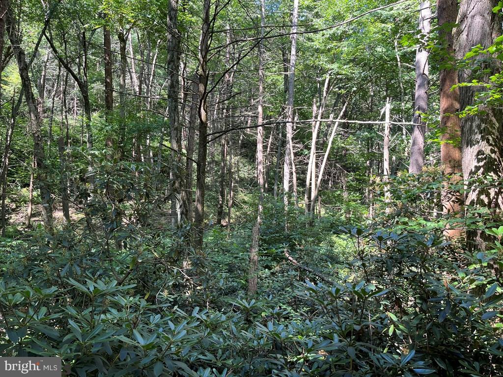 ROTHROCK STATE FOREST - Residential