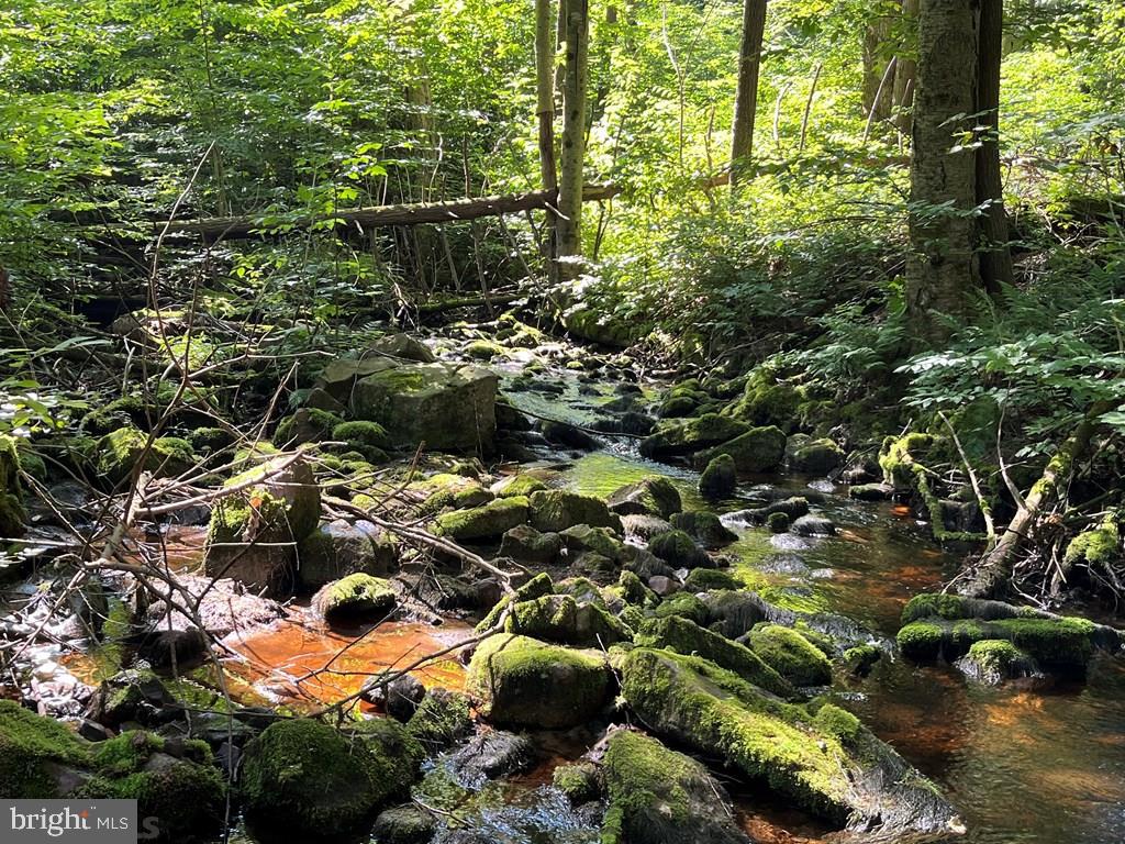 ROTHROCK STATE FOREST - Residential
