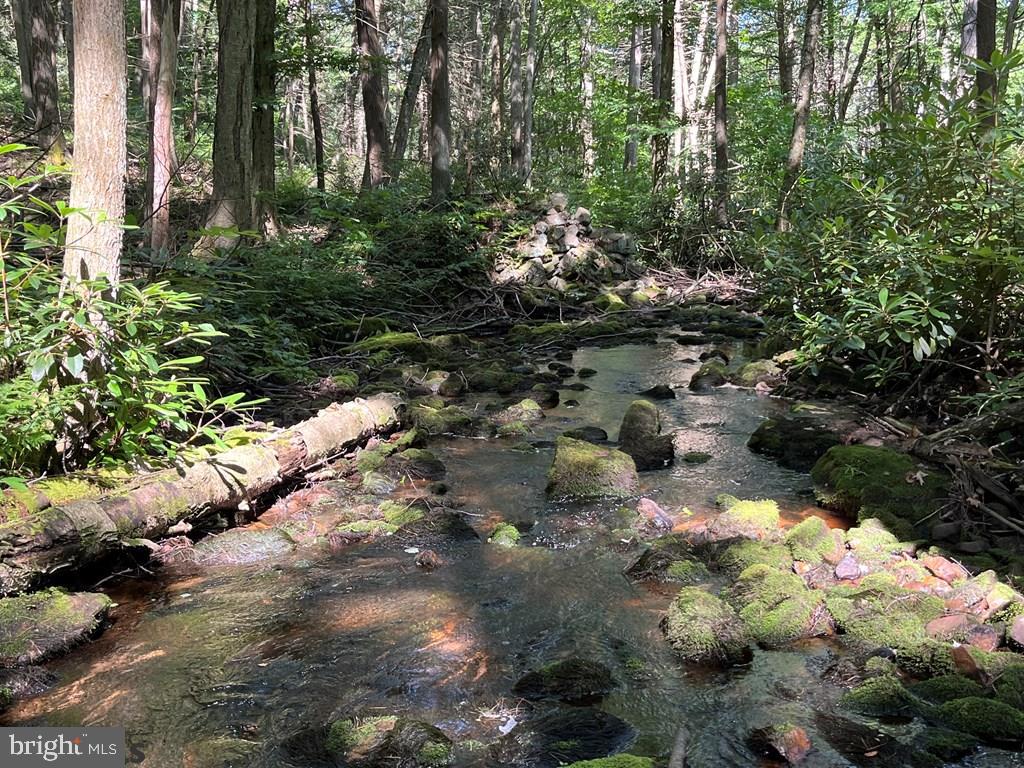 ROTHROCK STATE FOREST - Residential