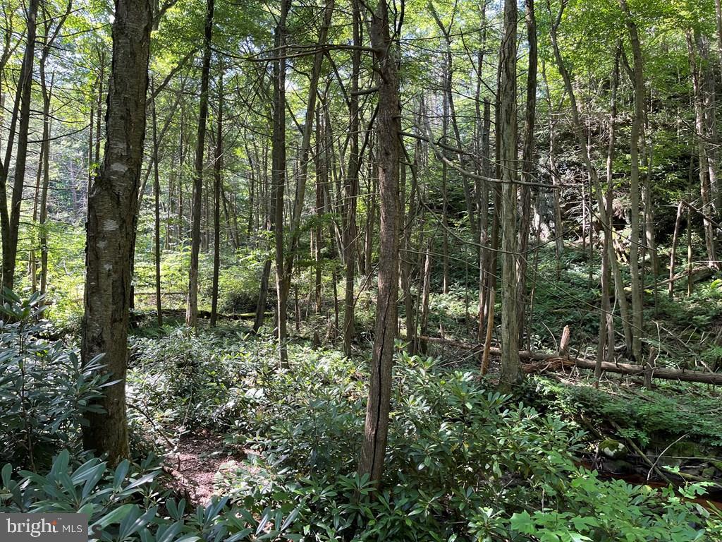 ROTHROCK STATE FOREST - Residential