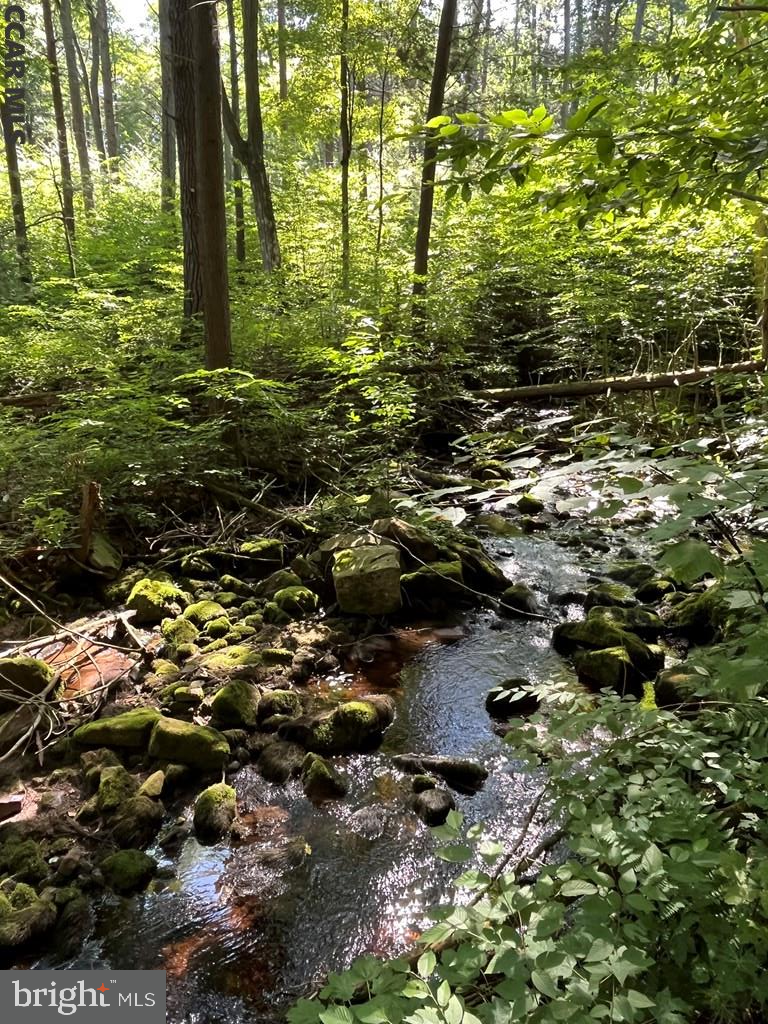 ROTHROCK STATE FOREST - Residential