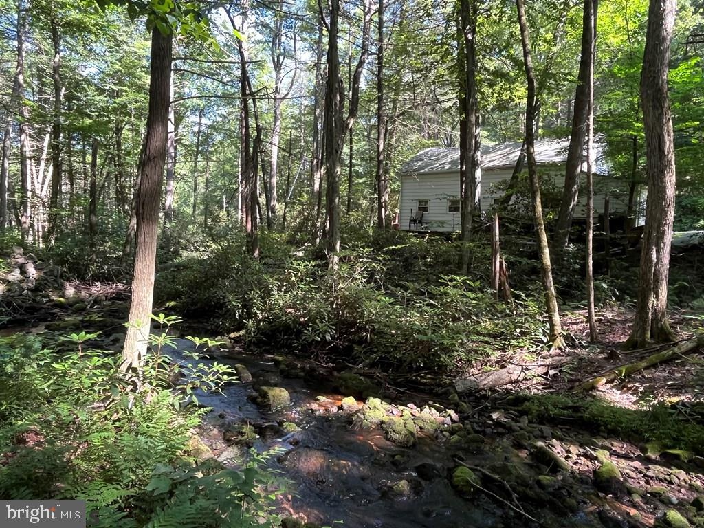 ROTHROCK STATE FOREST - Residential
