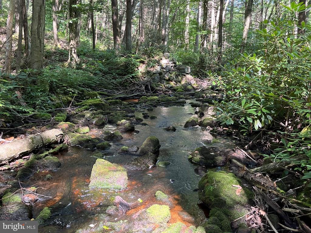 ROTHROCK STATE FOREST - Residential