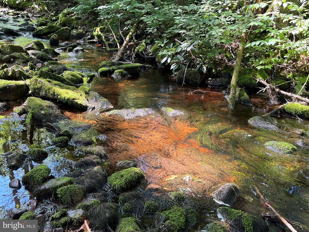 ROTHROCK STATE FOREST - Residential