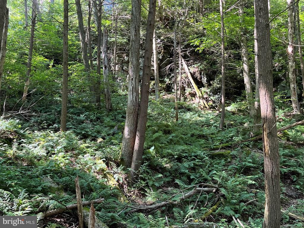 ROTHROCK STATE FOREST - Residential