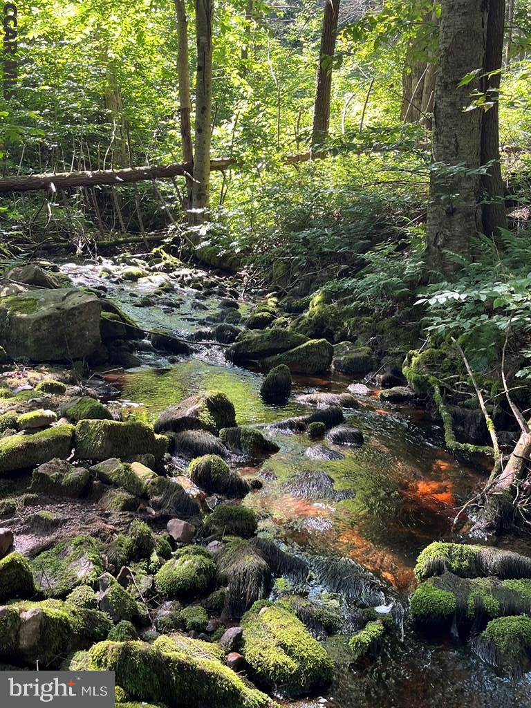 ROTHROCK STATE FOREST - Residential