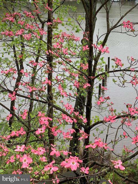 GLEBE HEIGHTS - Residential