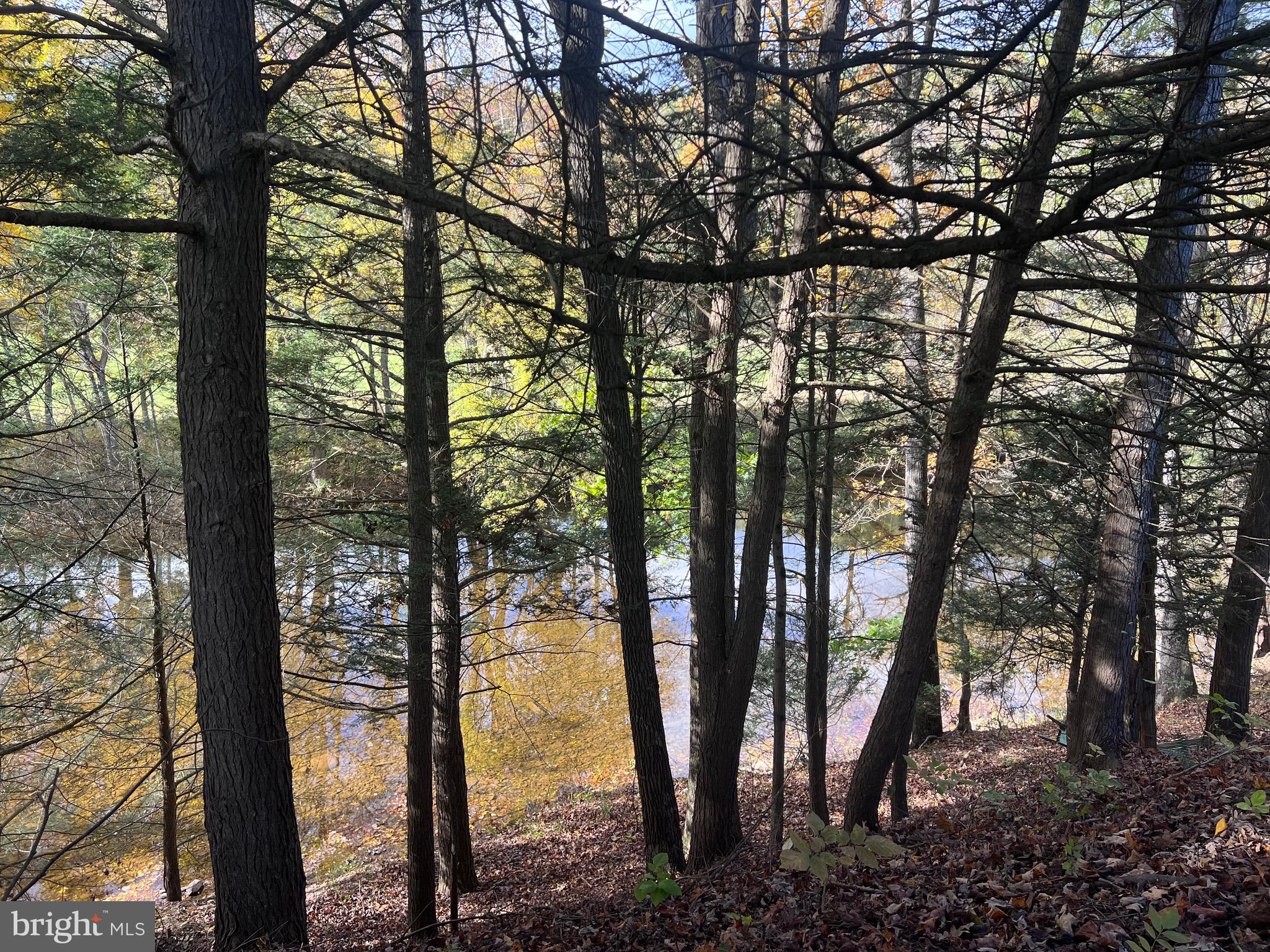 SLEEPY CREEK ORCHARD - Residential