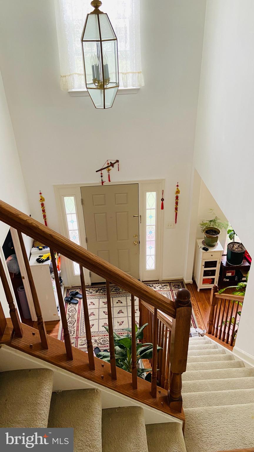 COLLINGTON - Residential Lease